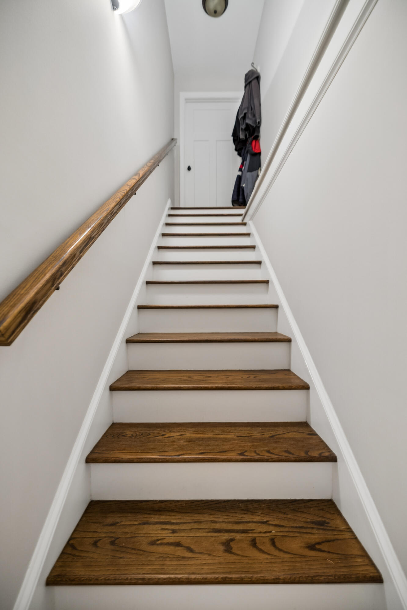 229 Running Oak Drive