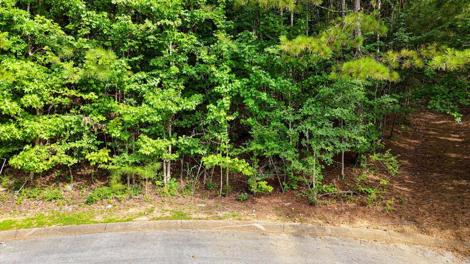 2001 River Bluff Drive, 29