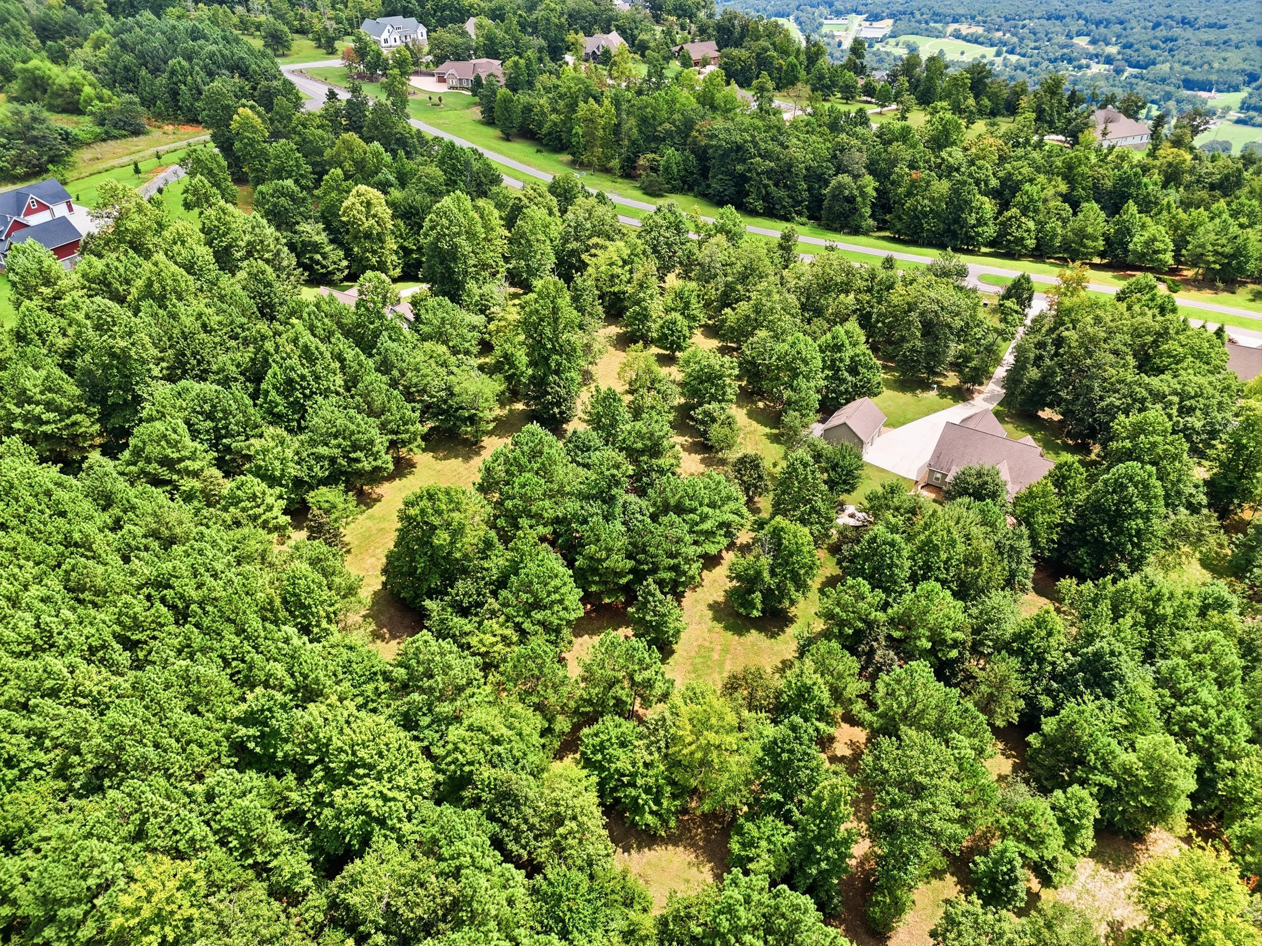 1625 River Bluffs Drive