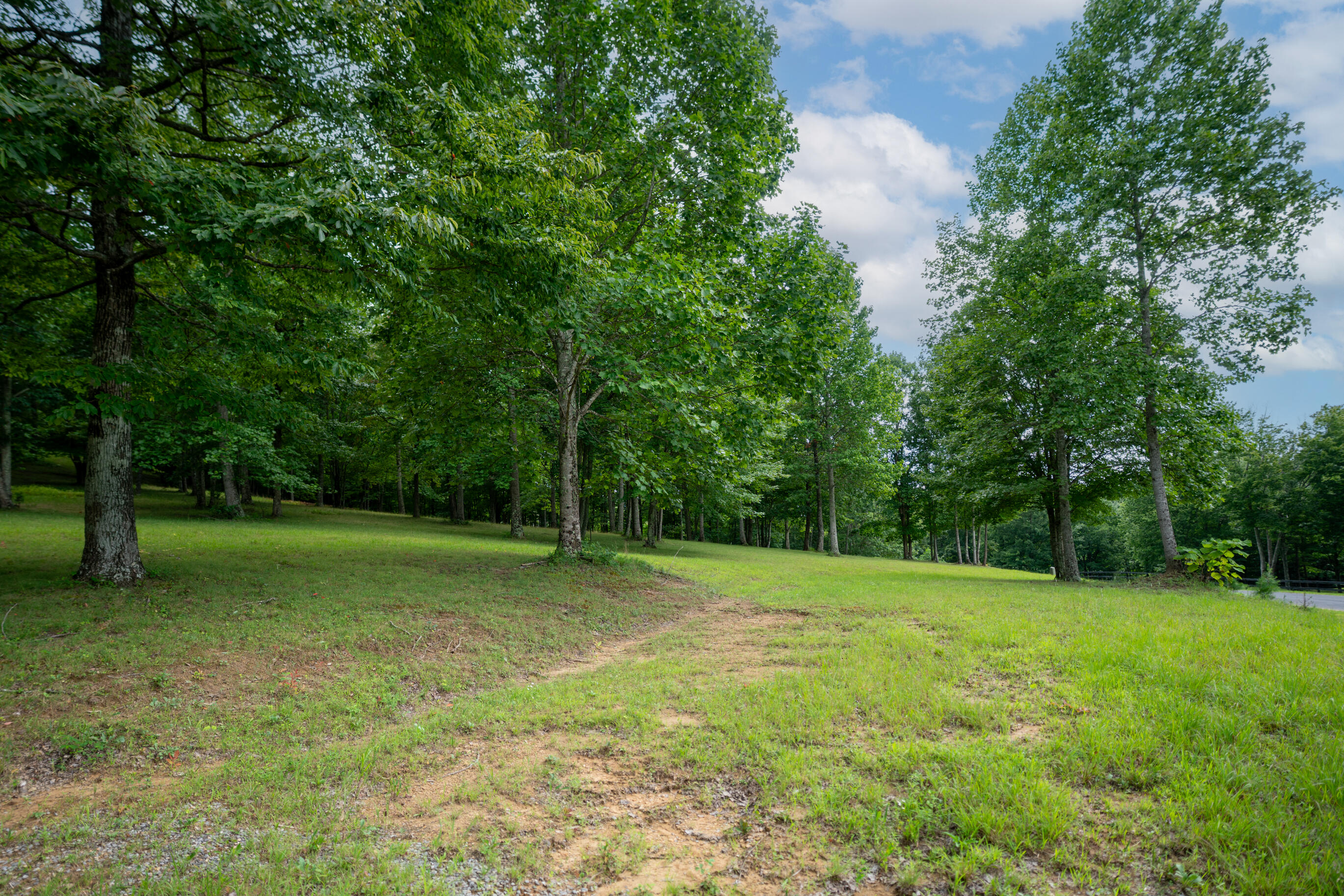 243 Roaring Creek Road