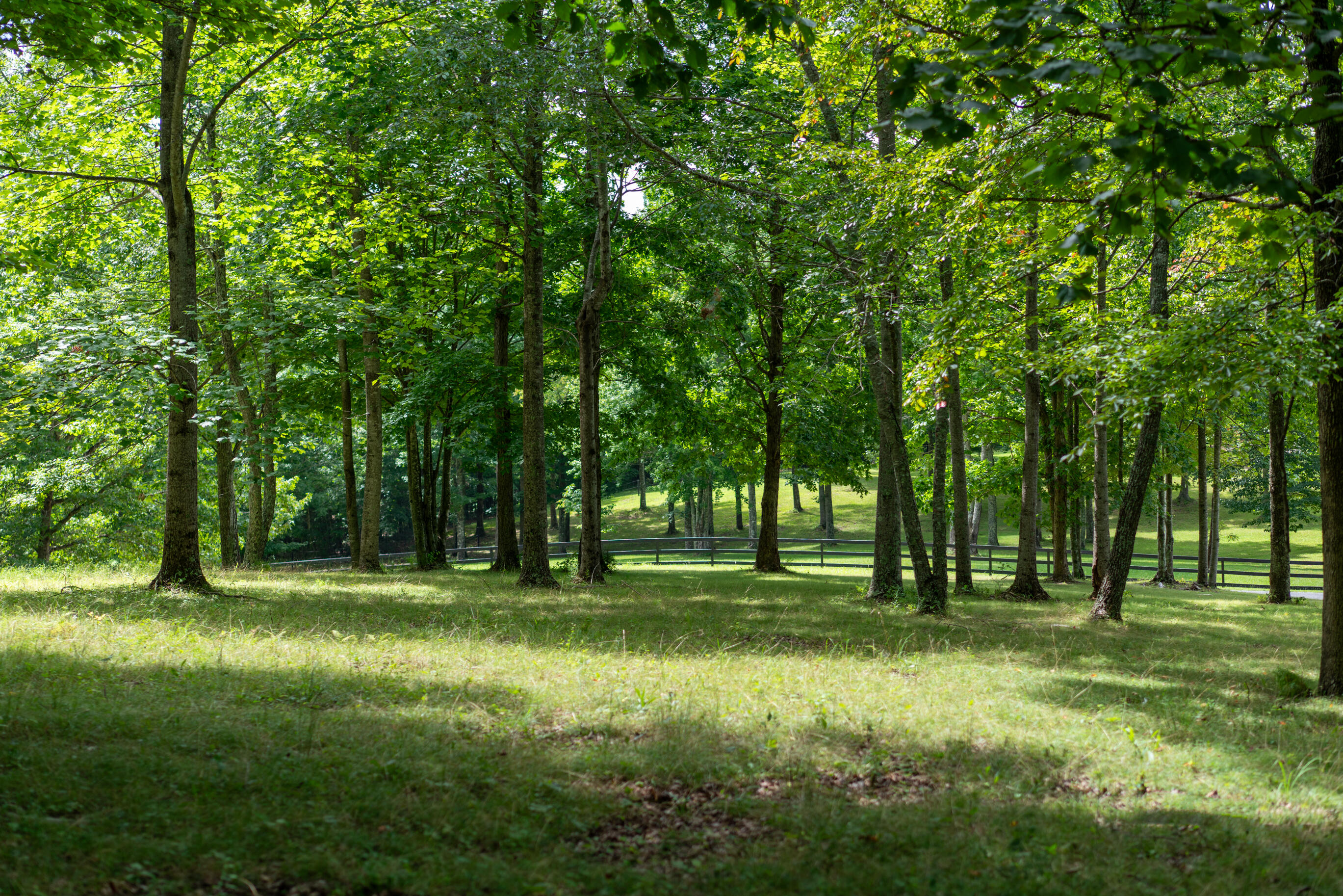 243 Roaring Creek Road