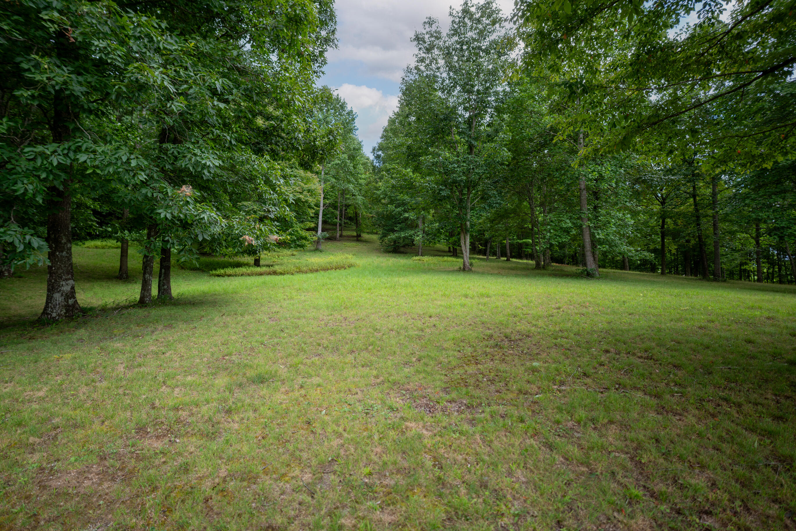 243 Roaring Creek Road