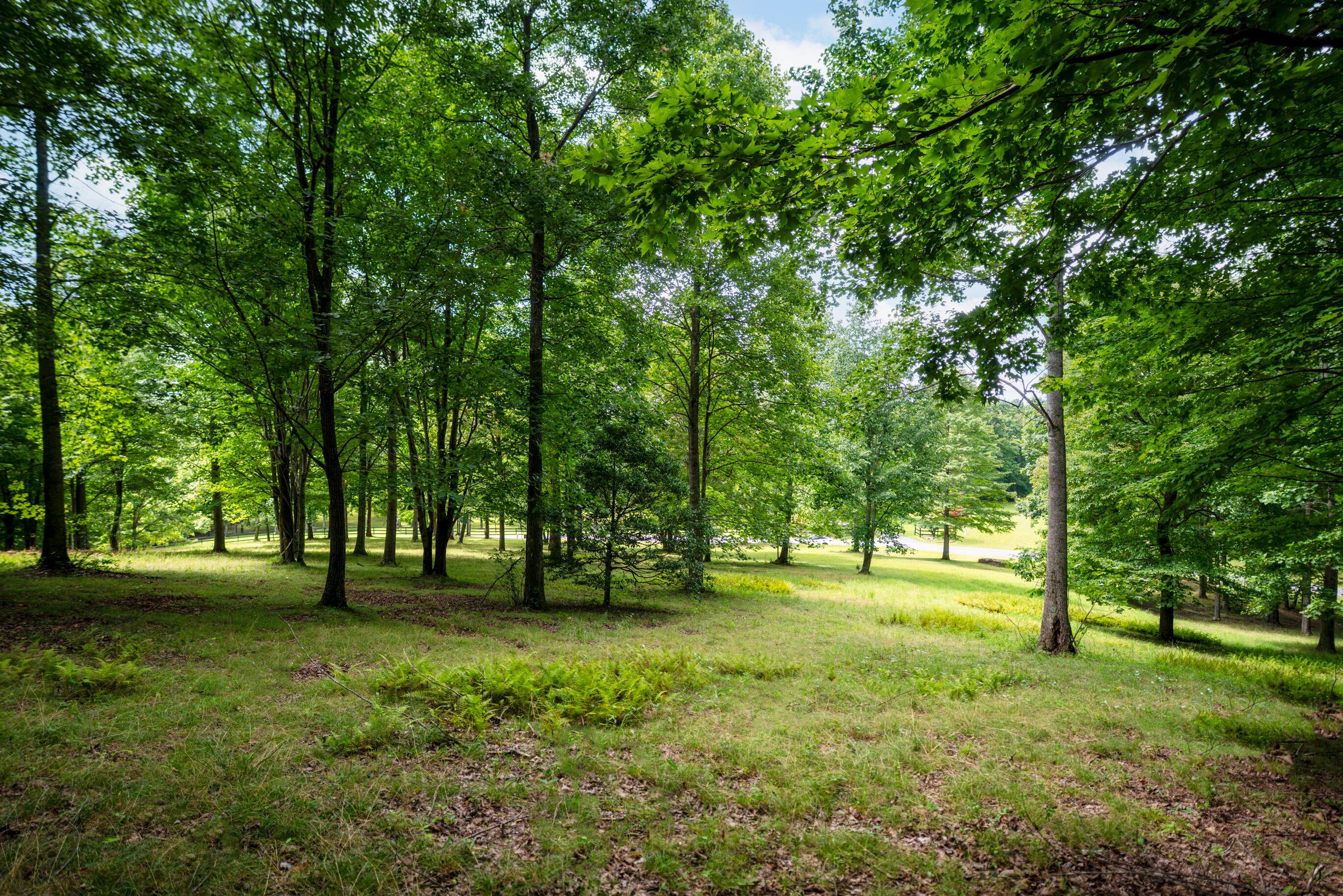 243 Roaring Creek Road