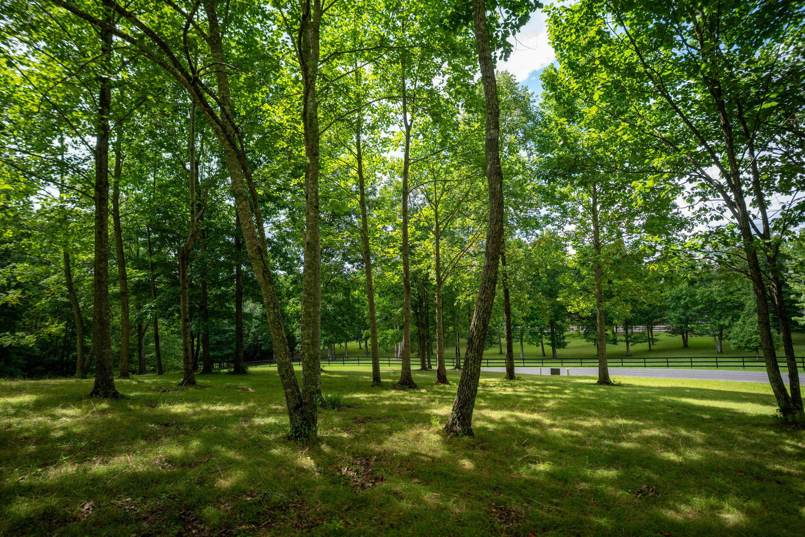 243 Roaring Creek Road