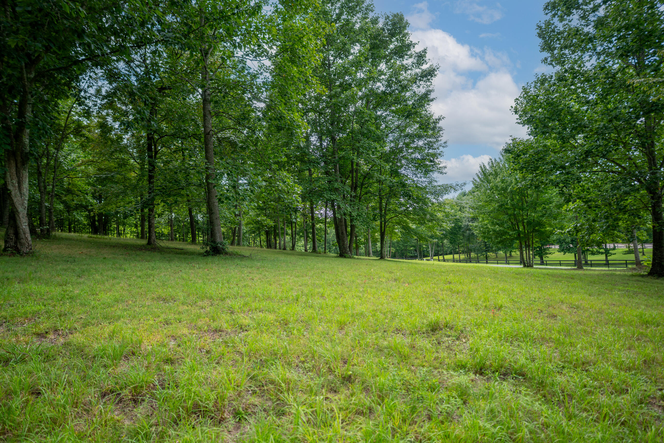 243 Roaring Creek Road