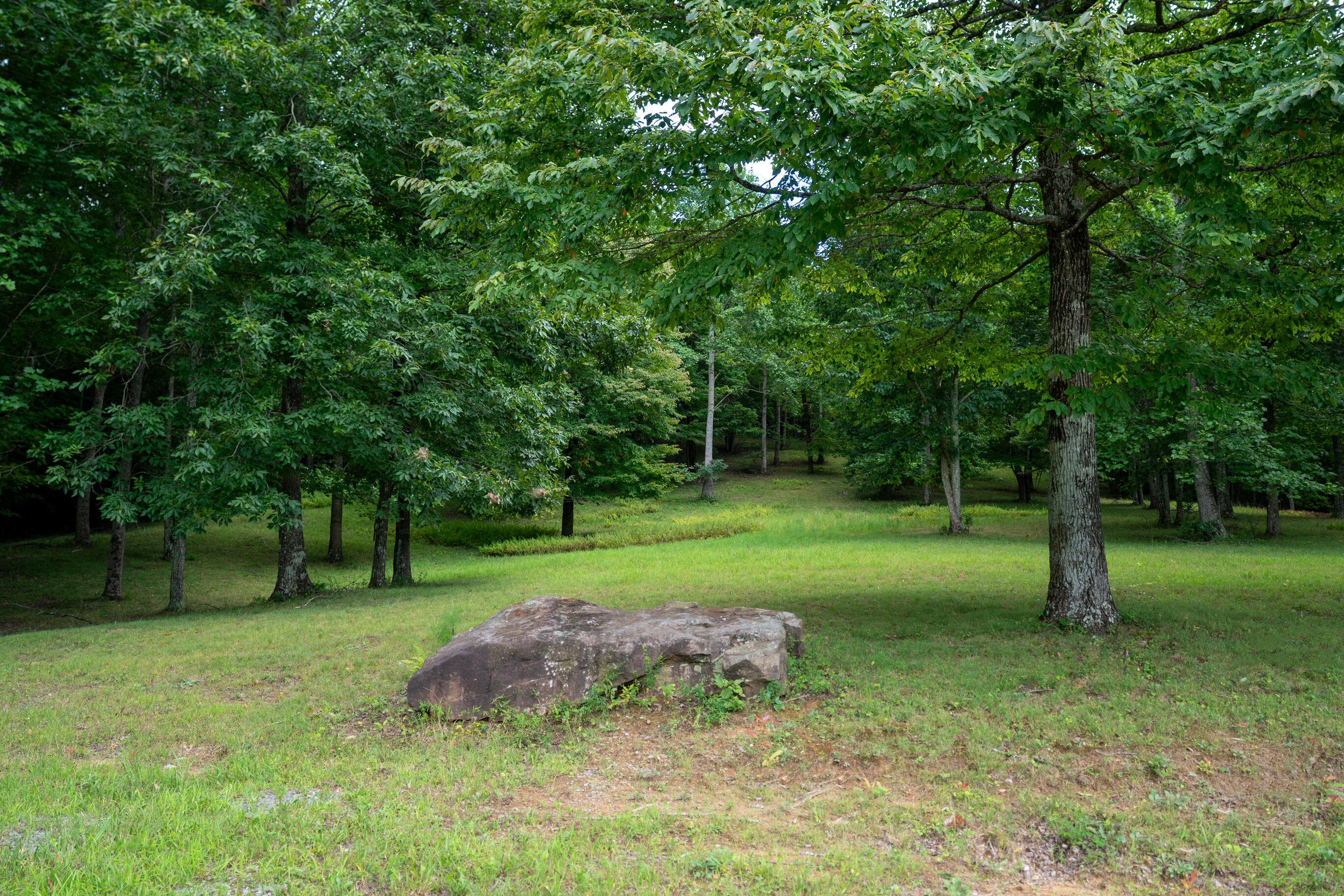 243 Roaring Creek Road