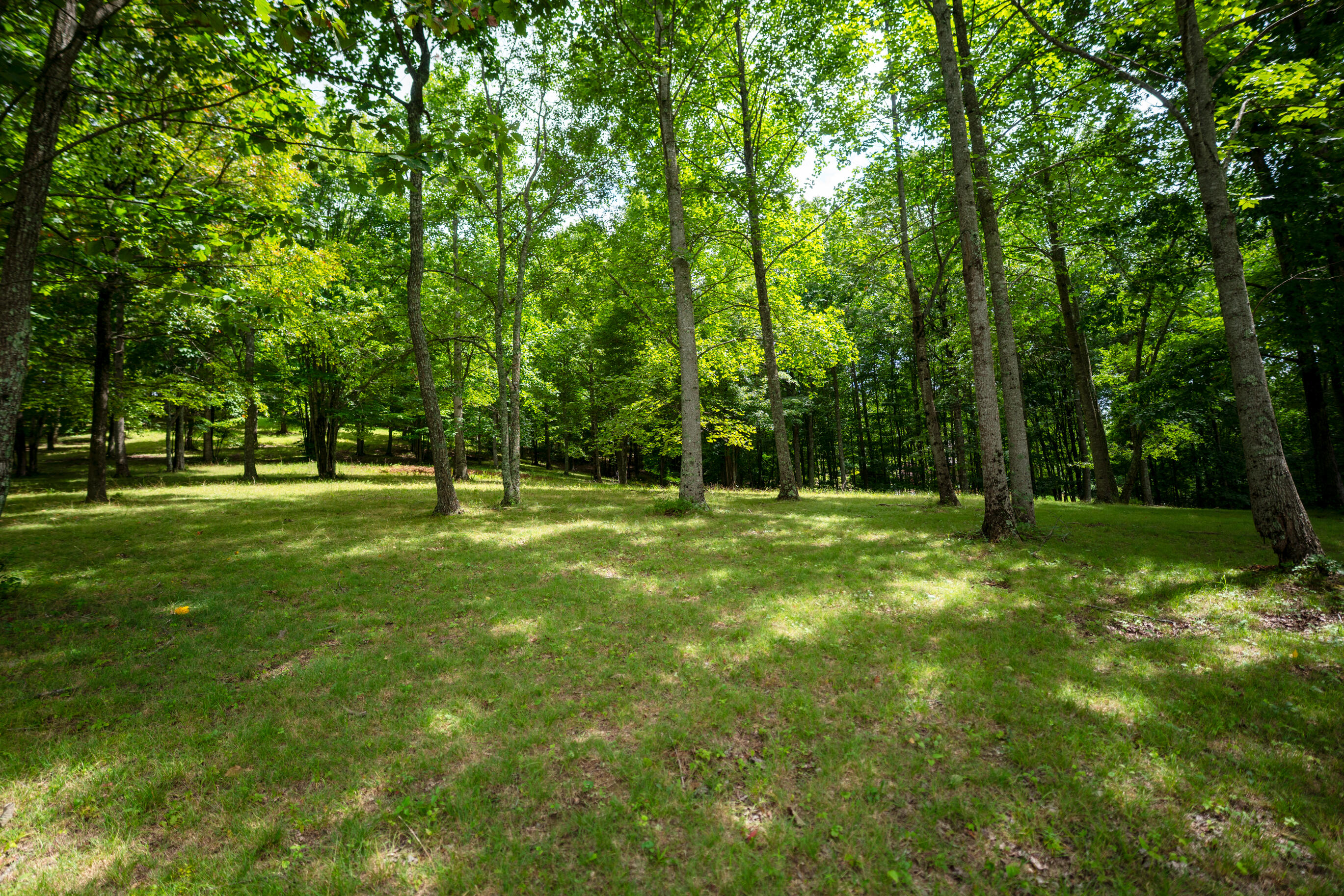 243 Roaring Creek Road