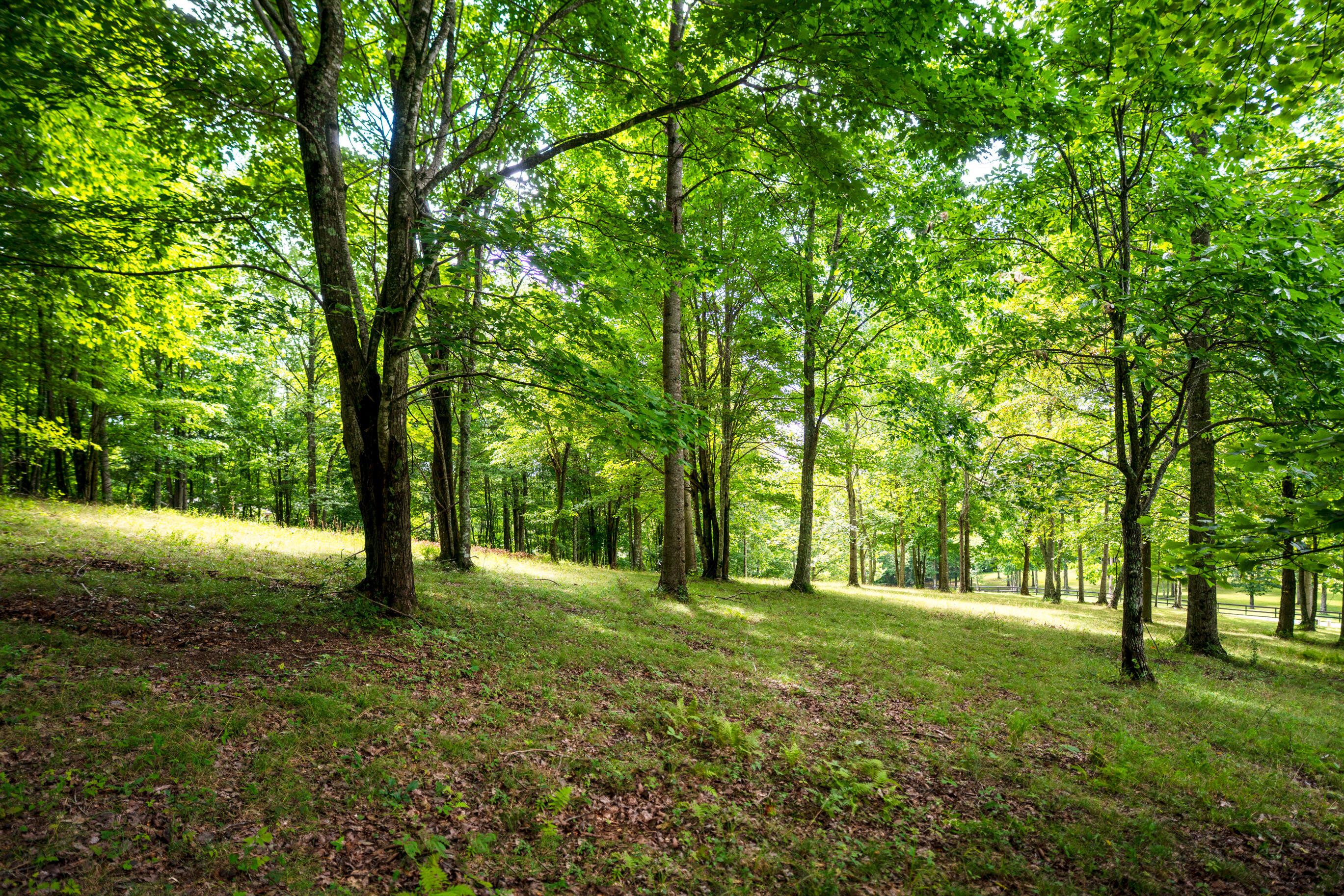 243 Roaring Creek Road