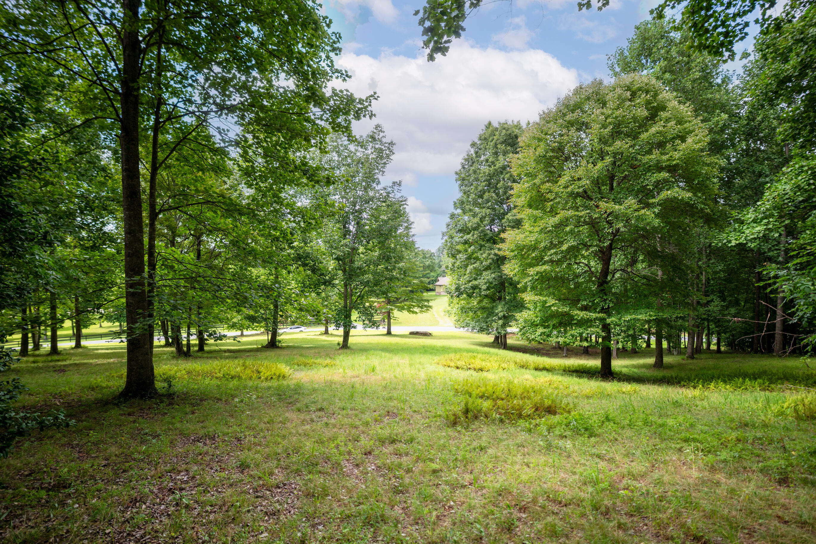 243 Roaring Creek Road