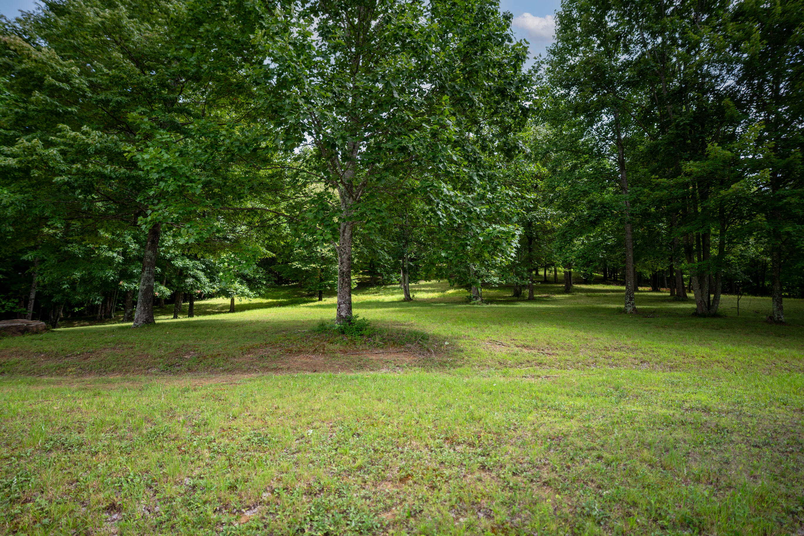 243 Roaring Creek Road