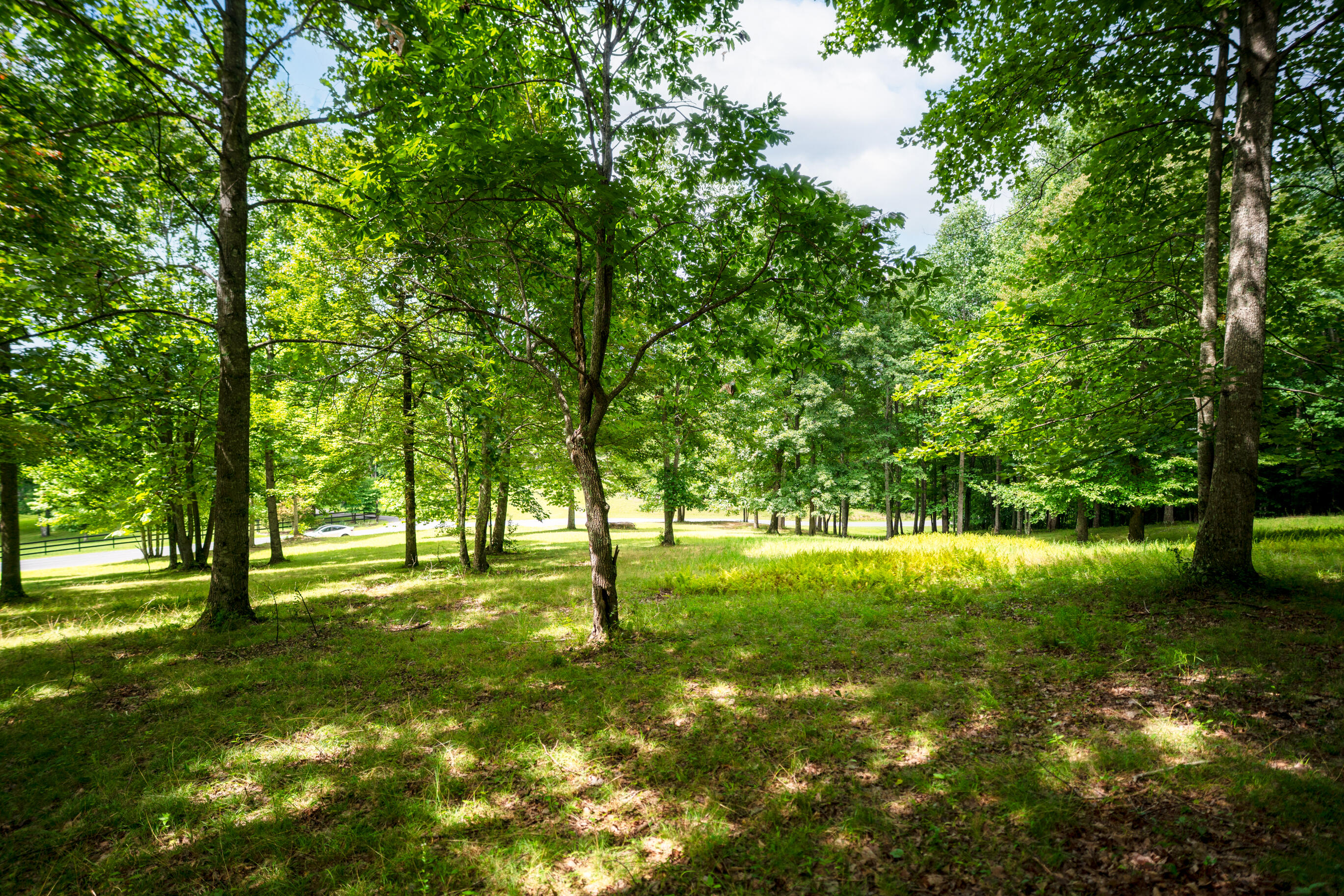 243 Roaring Creek Road