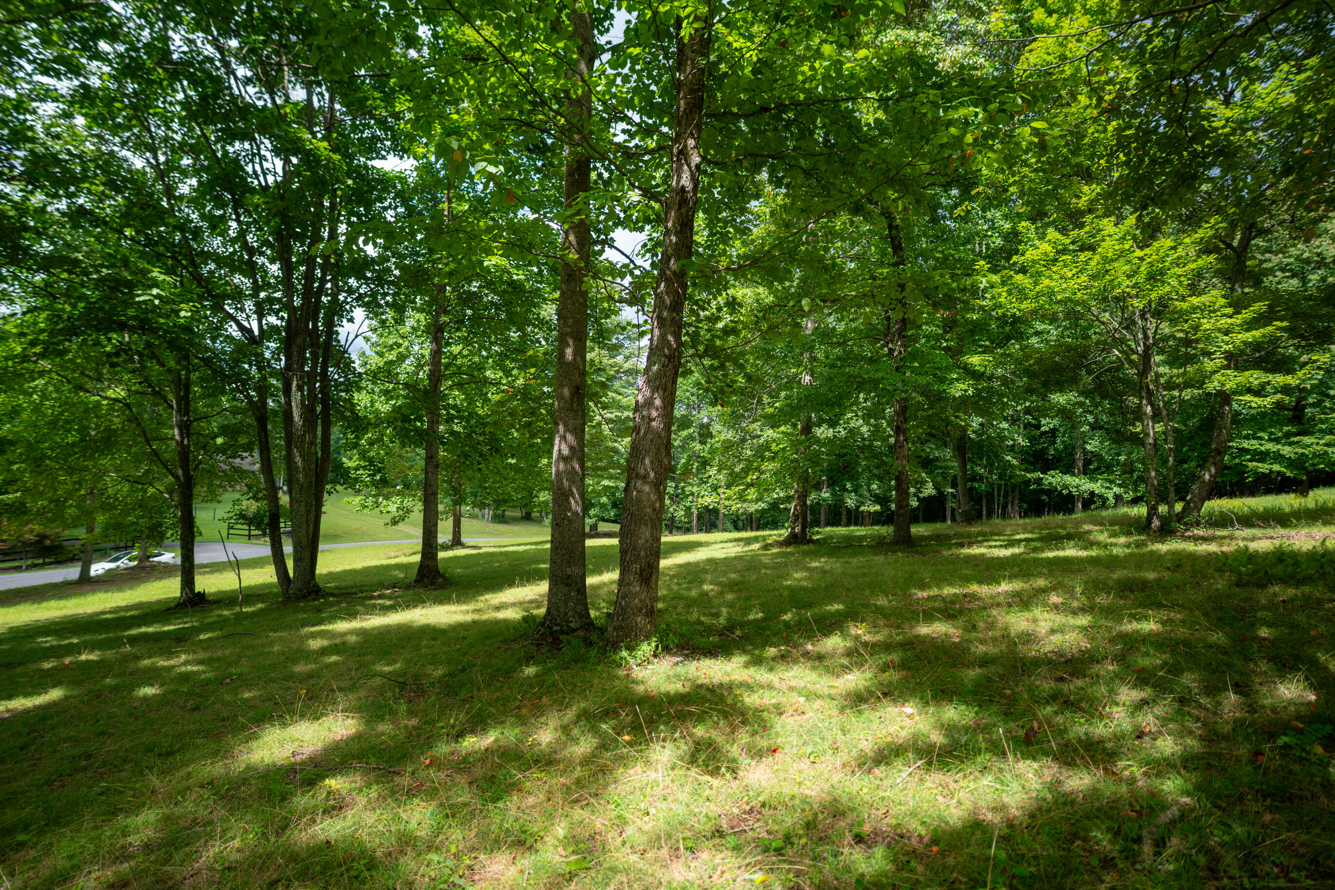 243 Roaring Creek Road