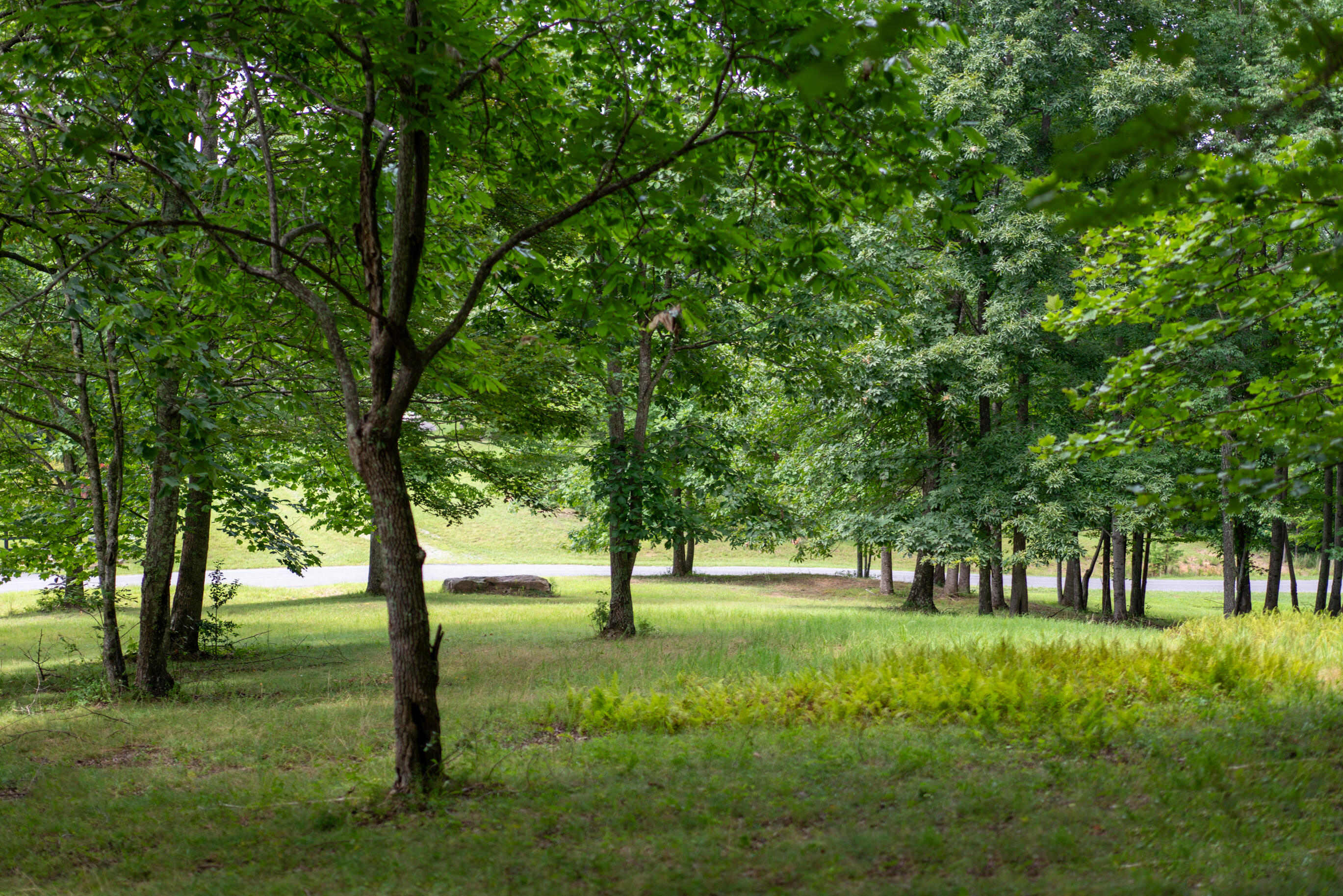 243 Roaring Creek Road