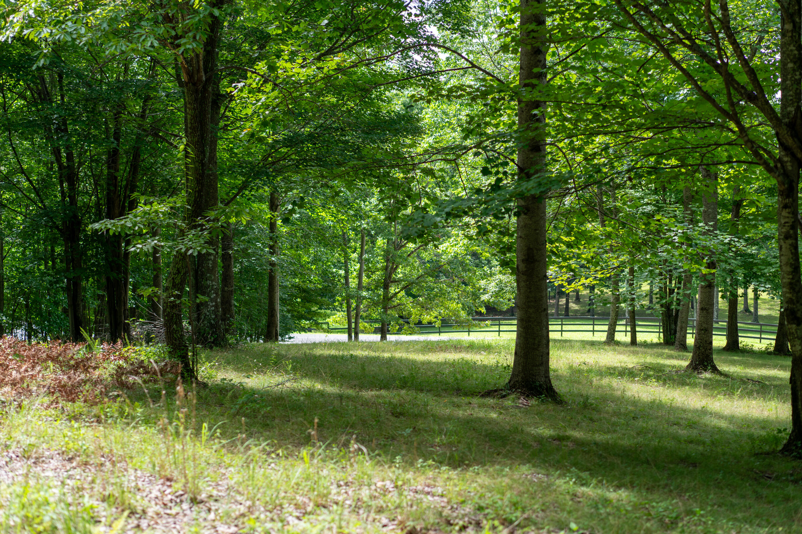243 Roaring Creek Road
