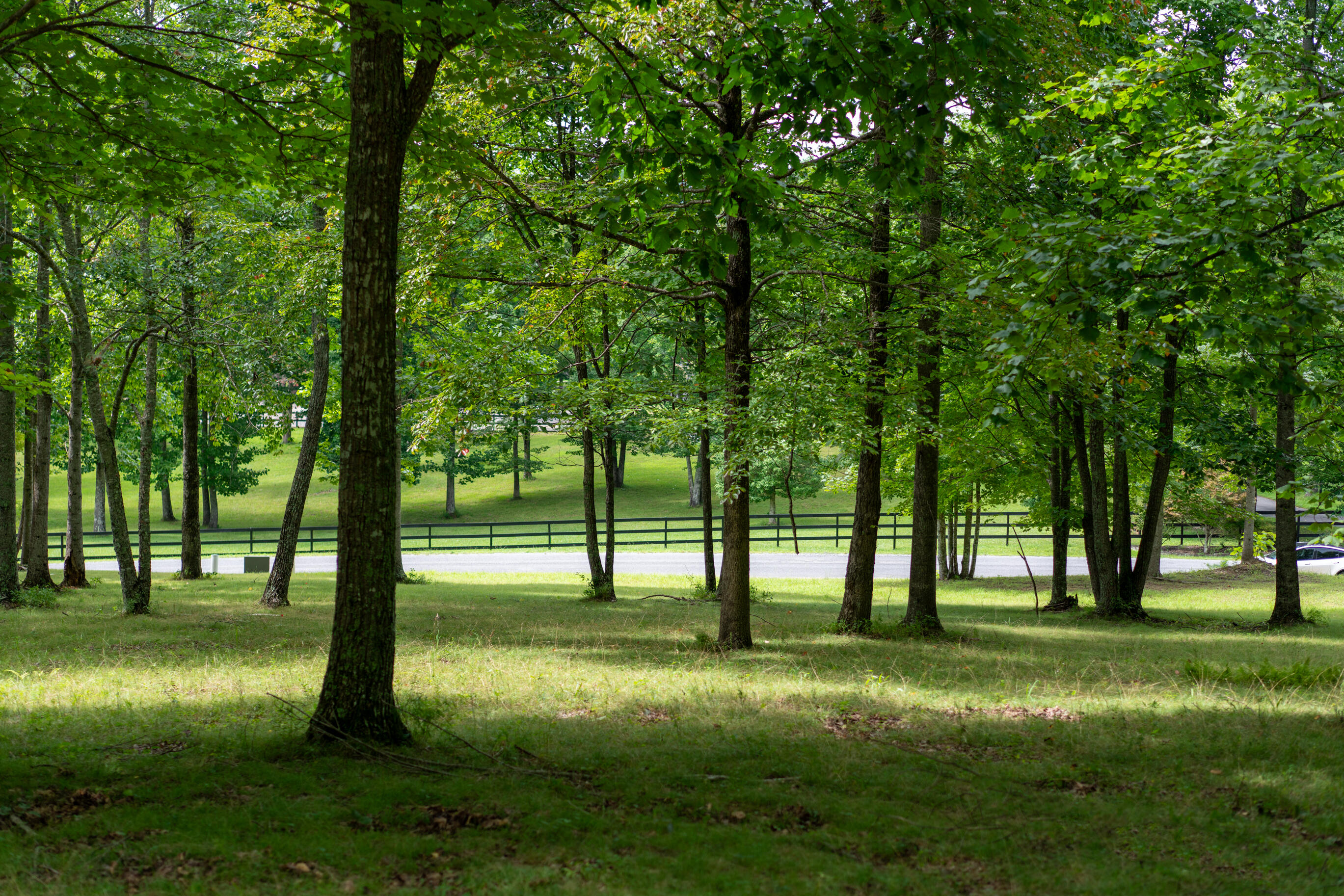243 Roaring Creek Road