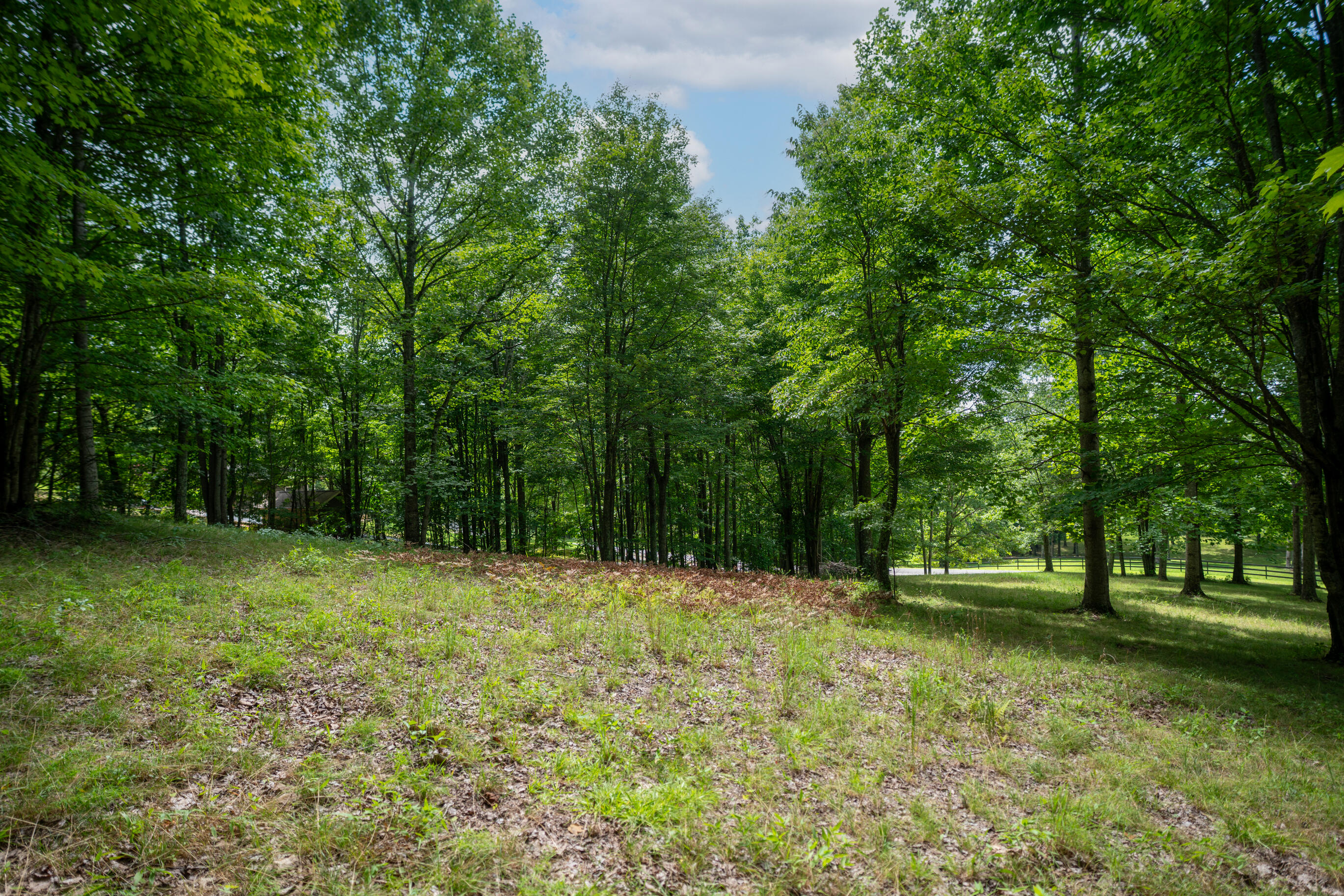 243 Roaring Creek Road