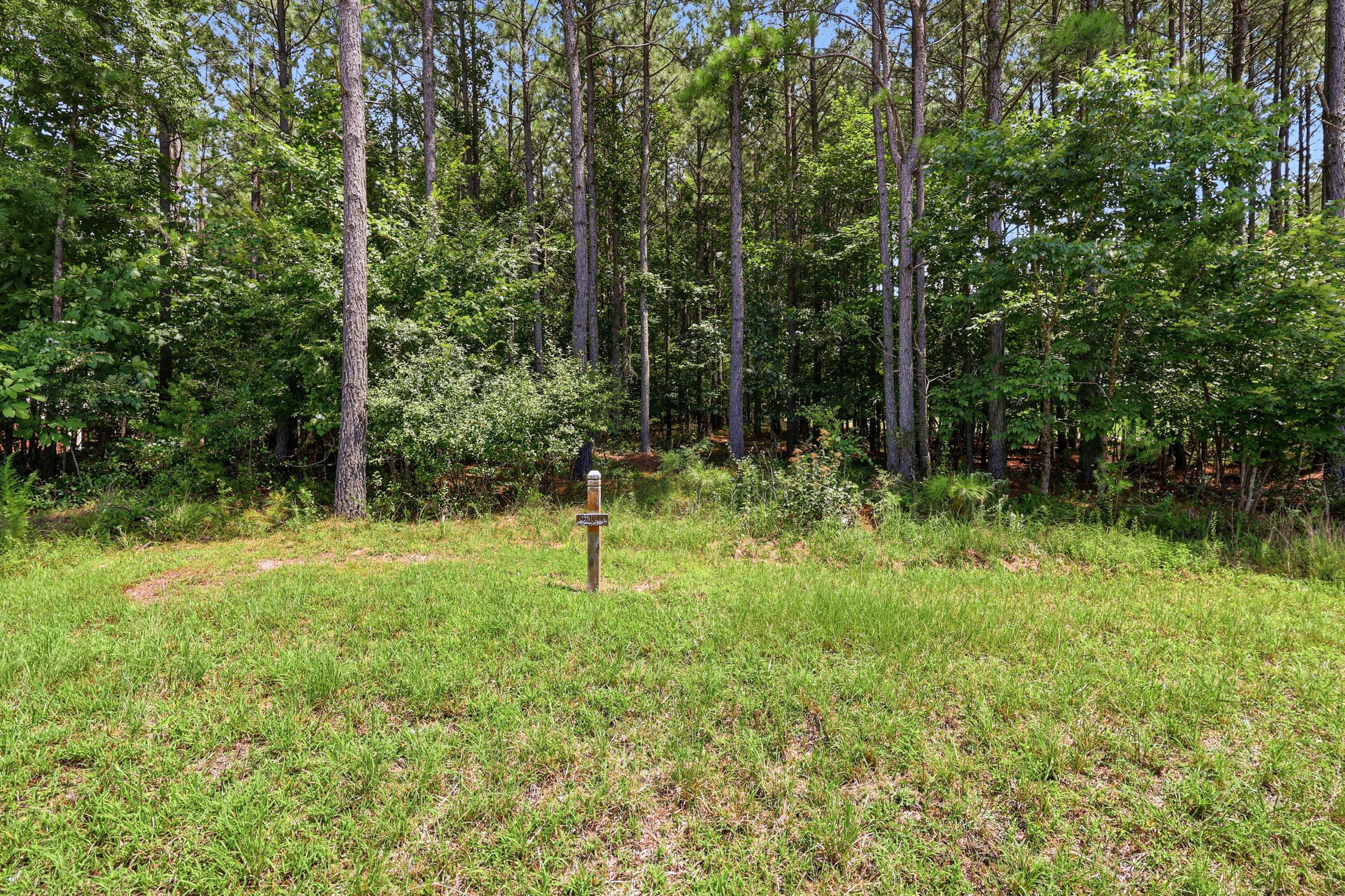 0 Raulston Falls Road, Jf114