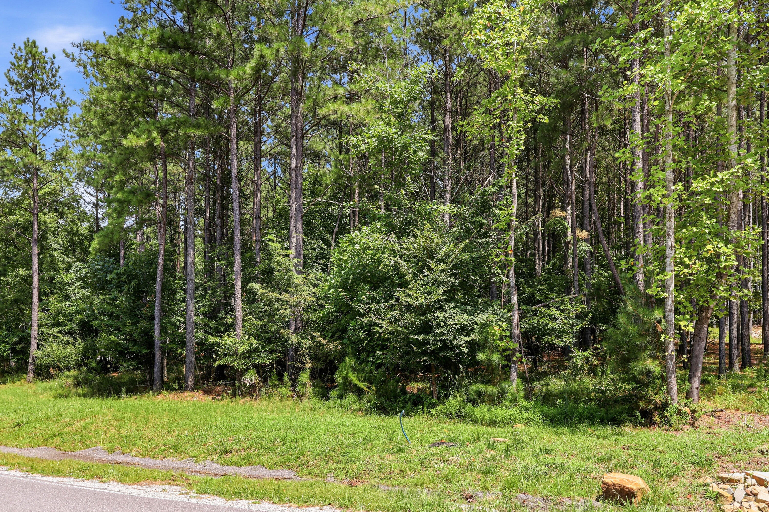 0 Raulston Falls Road, Jf114