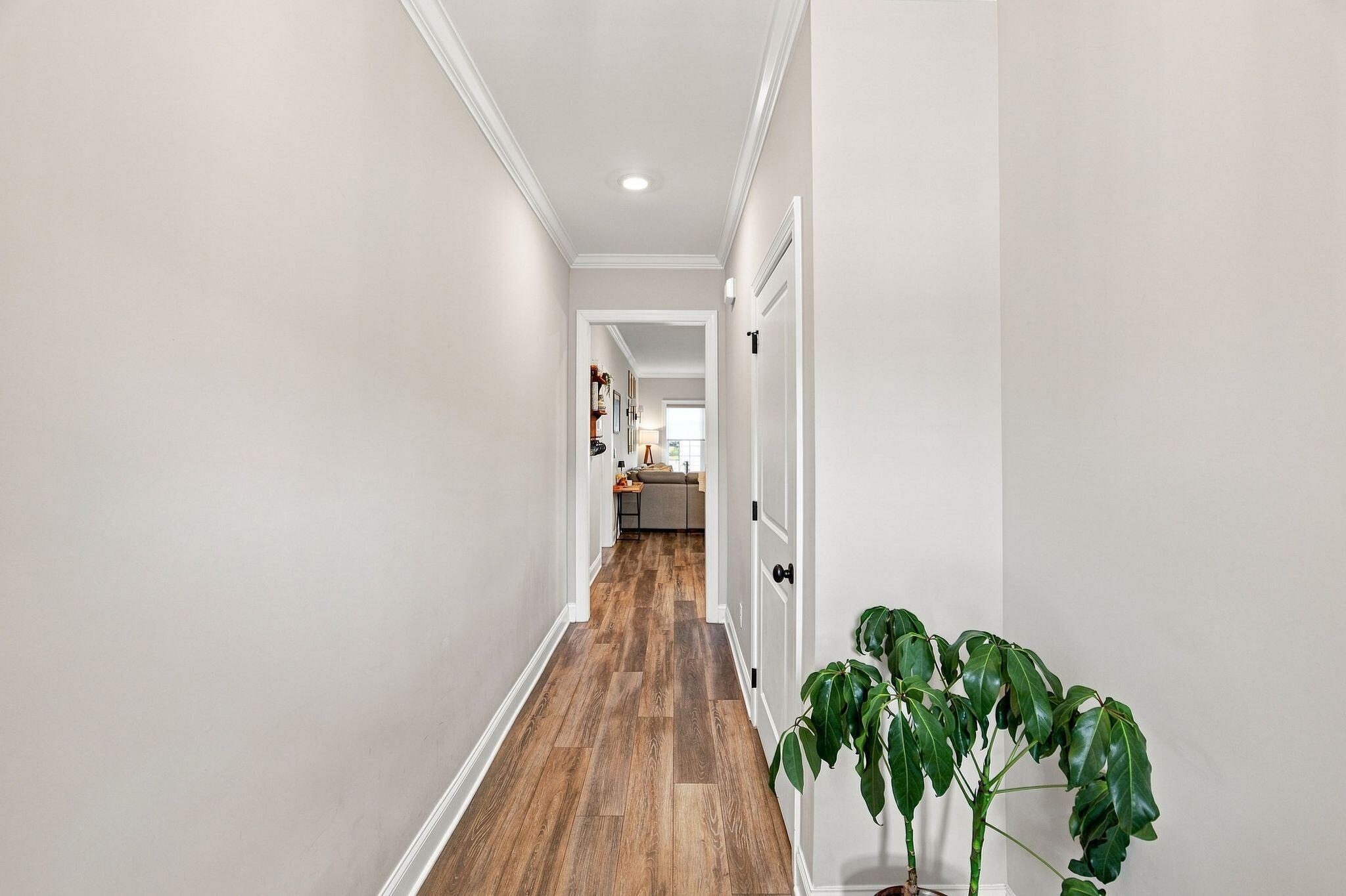 31 Winchester Drive
