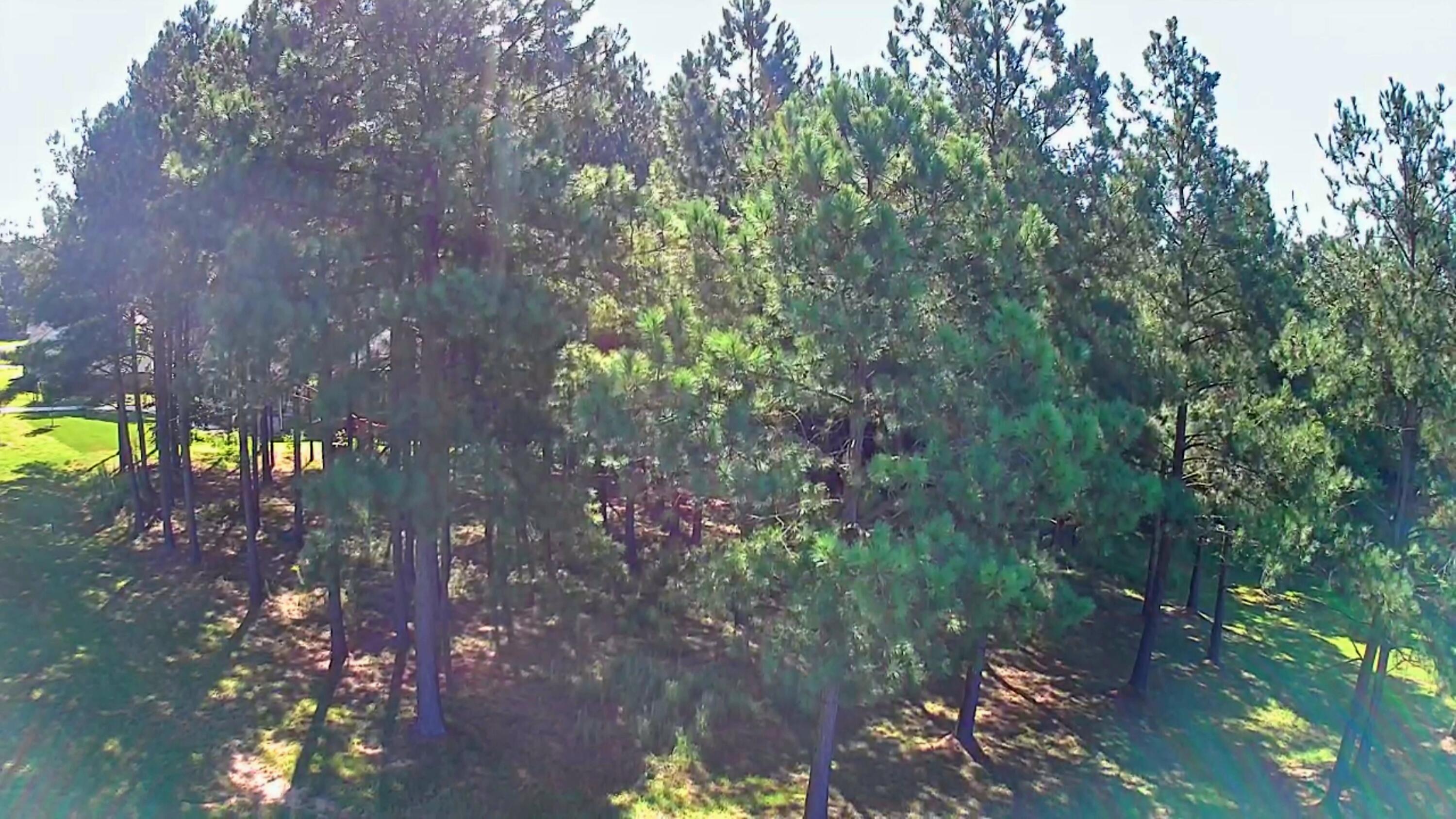 0 Boone Pass, Jf186