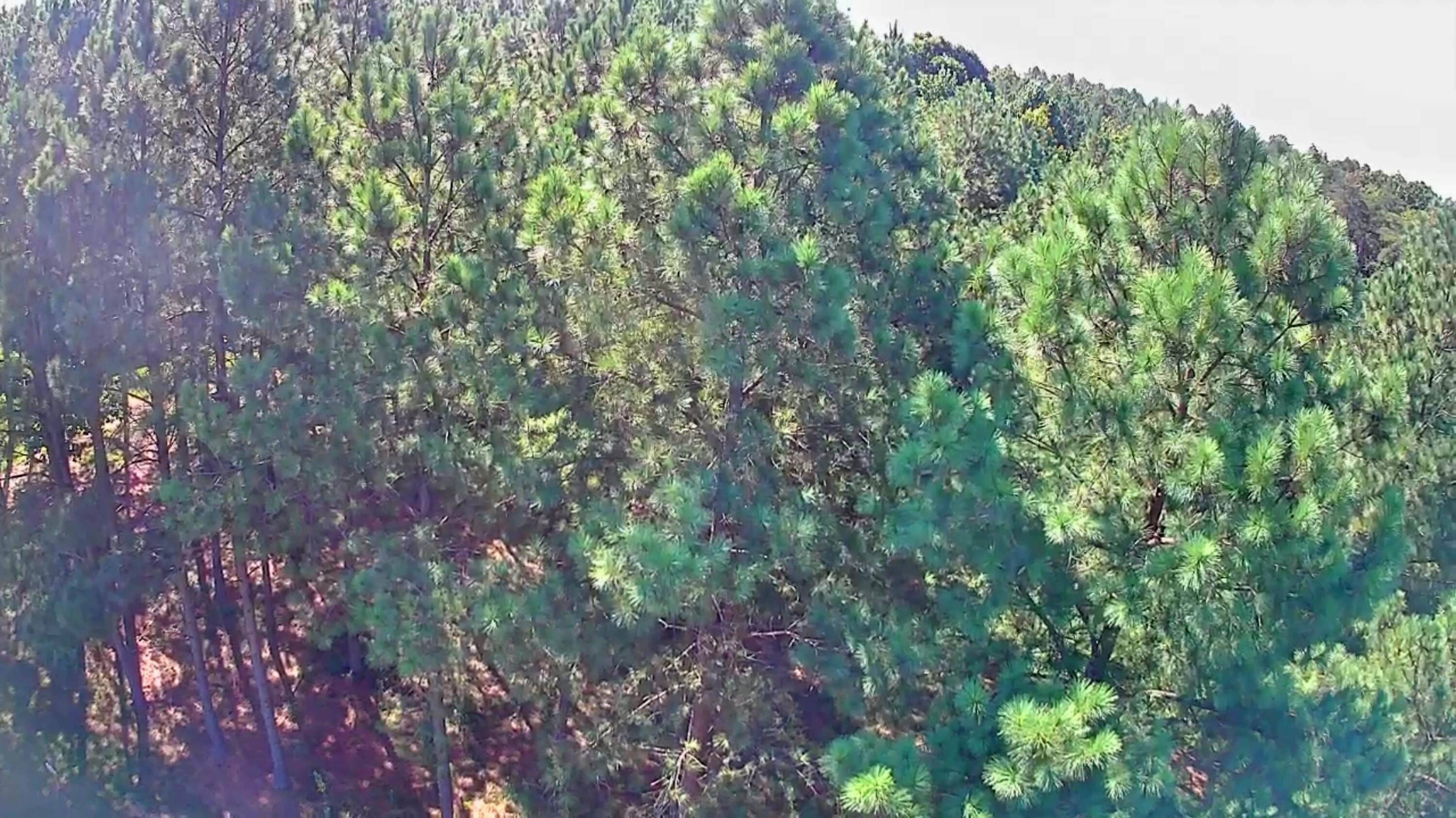 0 Boone Pass, Jf186