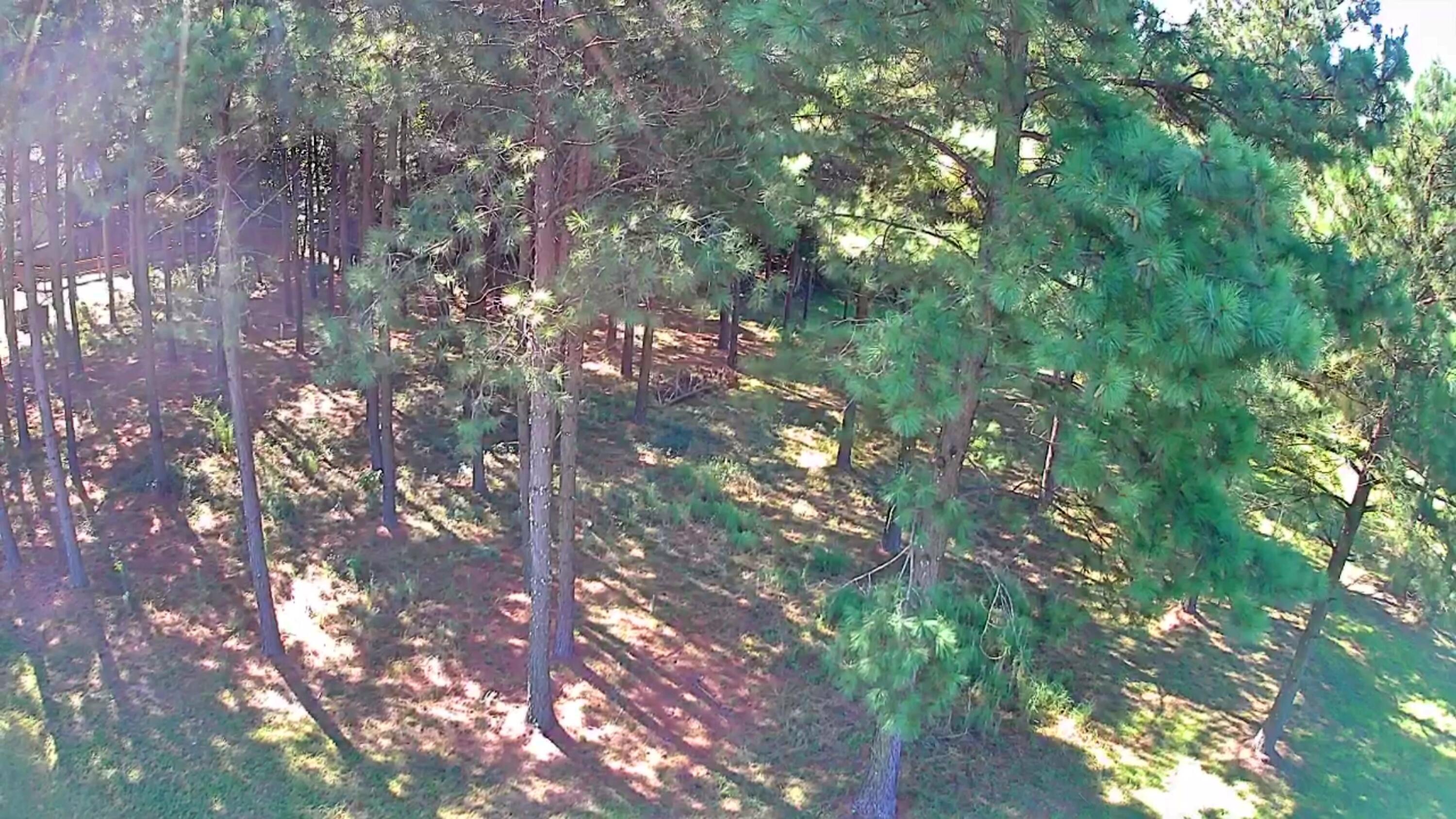 0 Boone Pass, Jf186