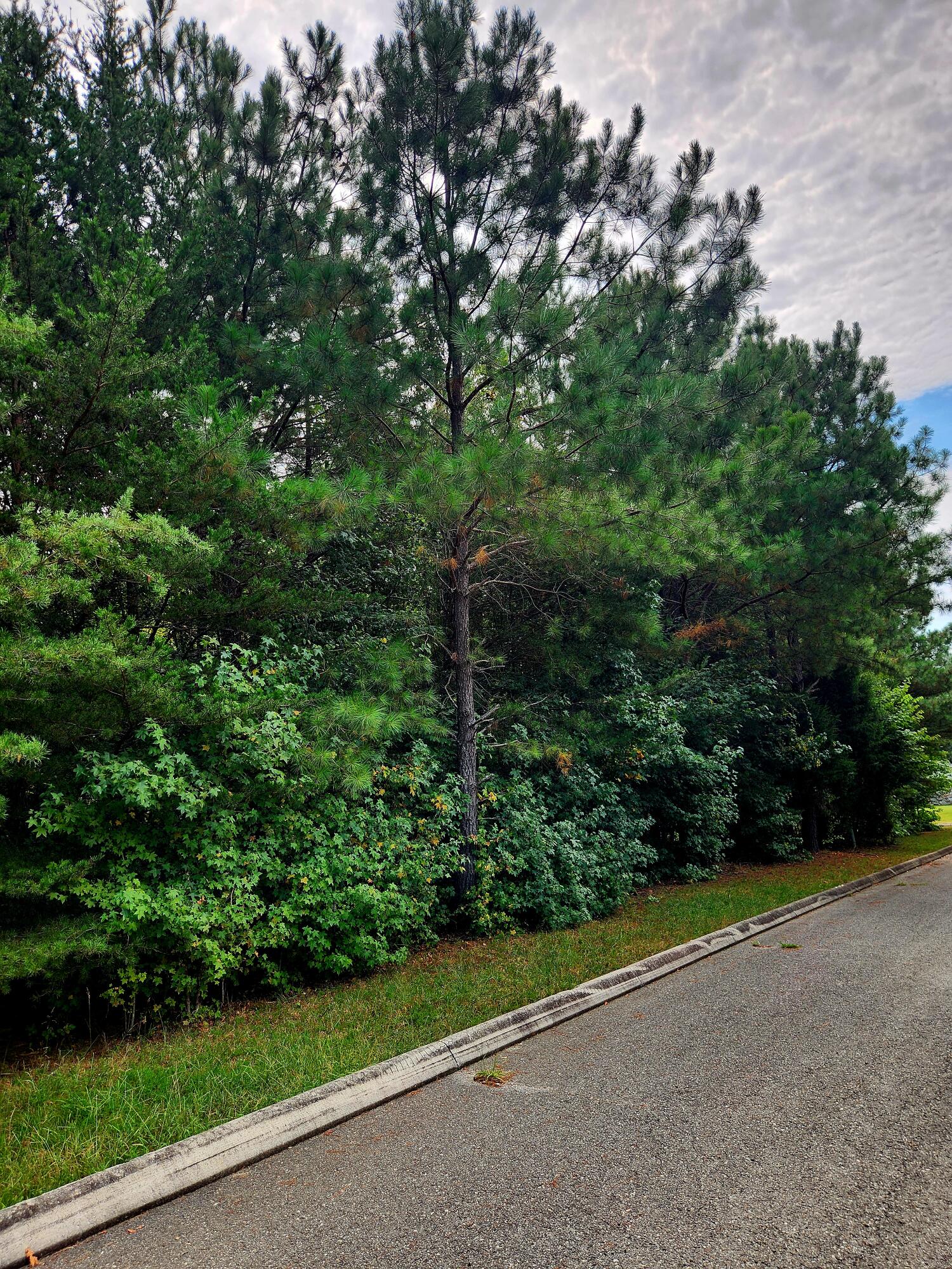 0 Waterview Drive, 12