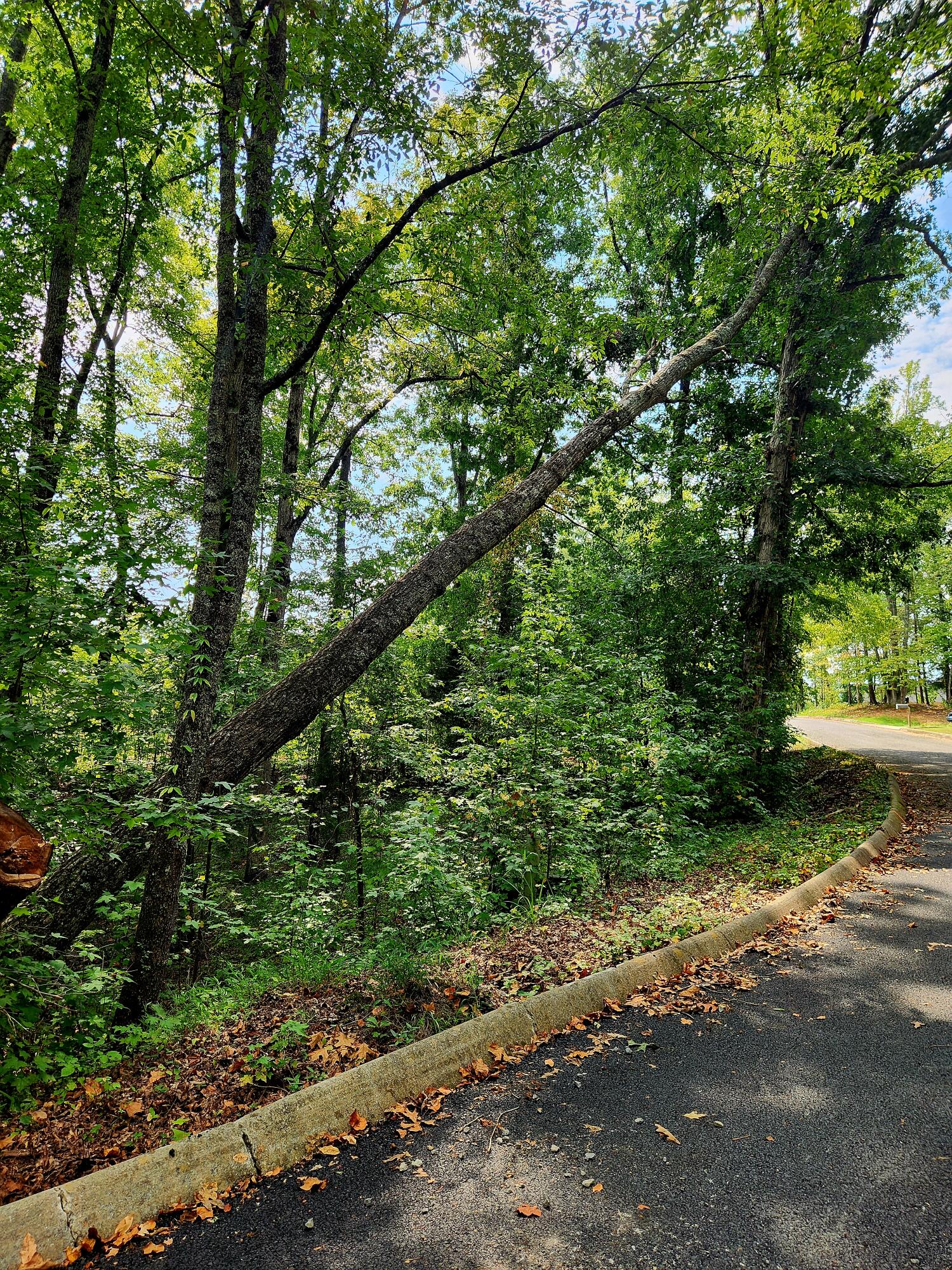 00 Waterview Drive, 17