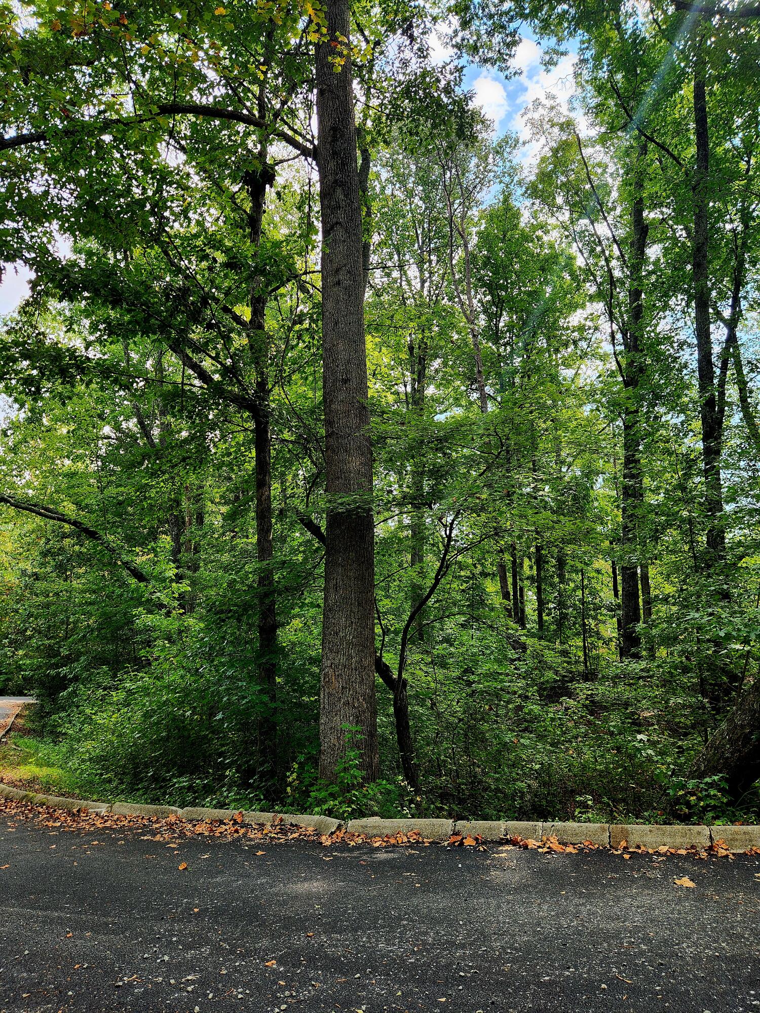 00 Waterview Drive, 17