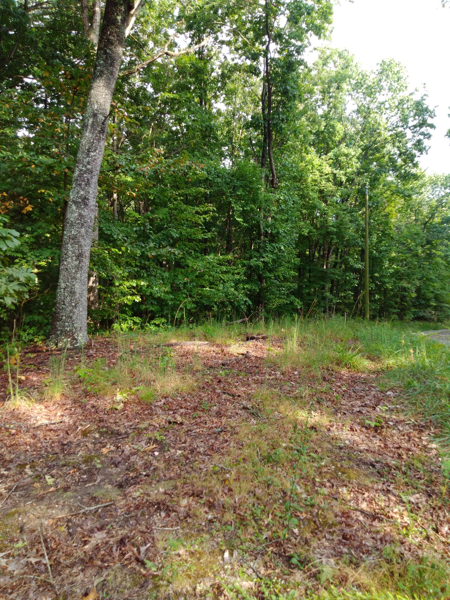0 Woodland Drive, 53-56