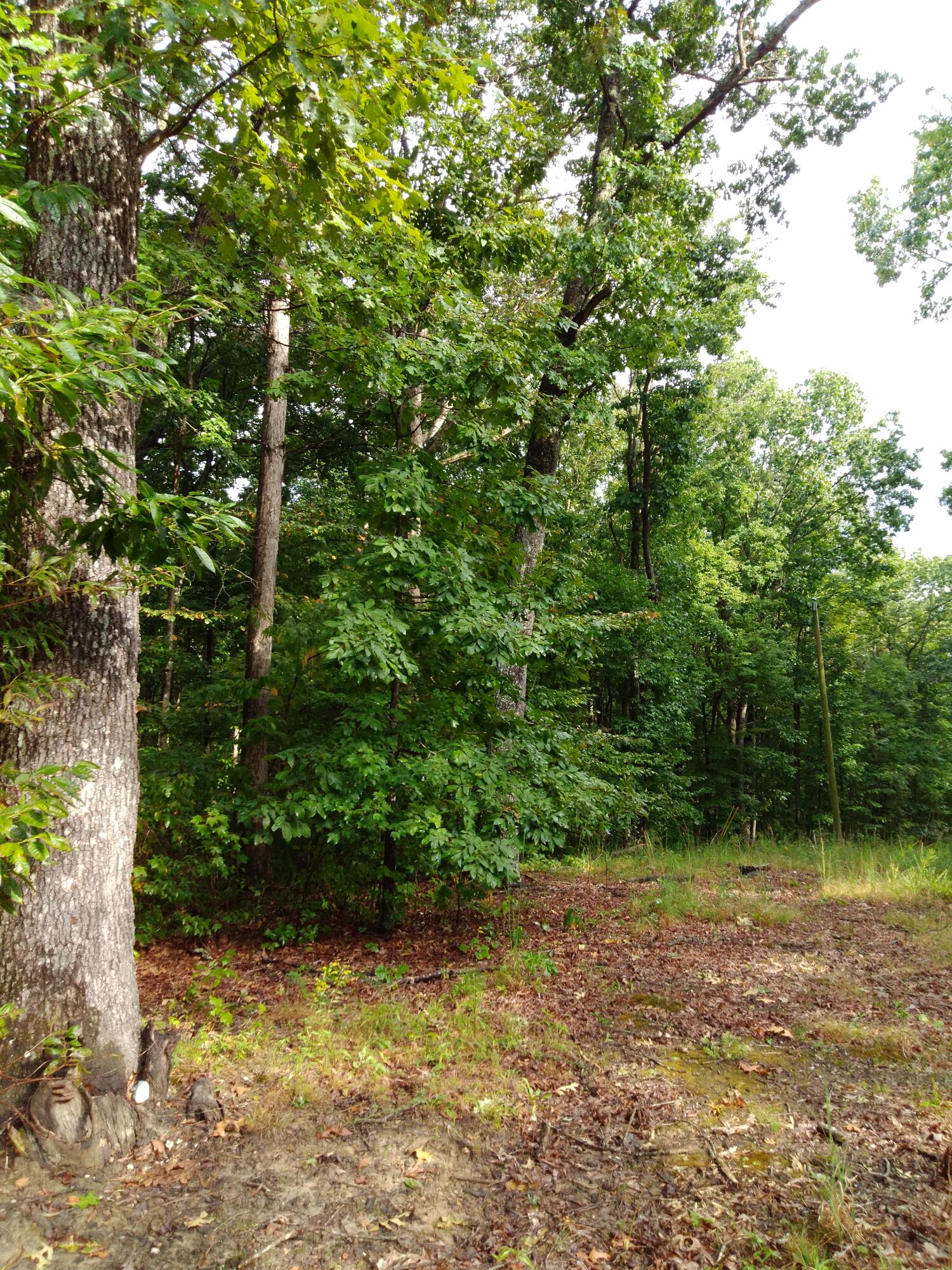 0 Woodland Drive, 53-56