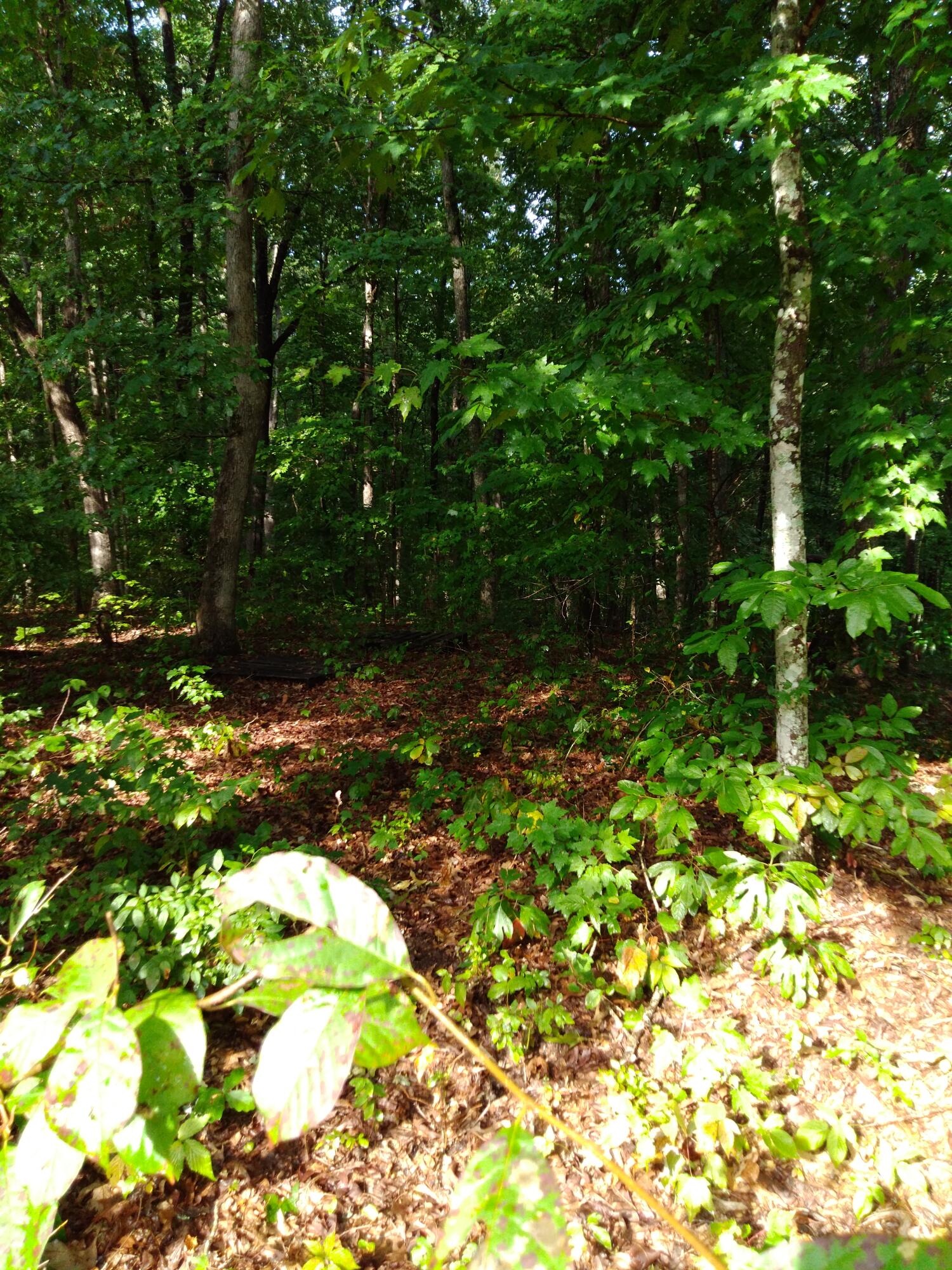 0 Woodland Drive, 53-56