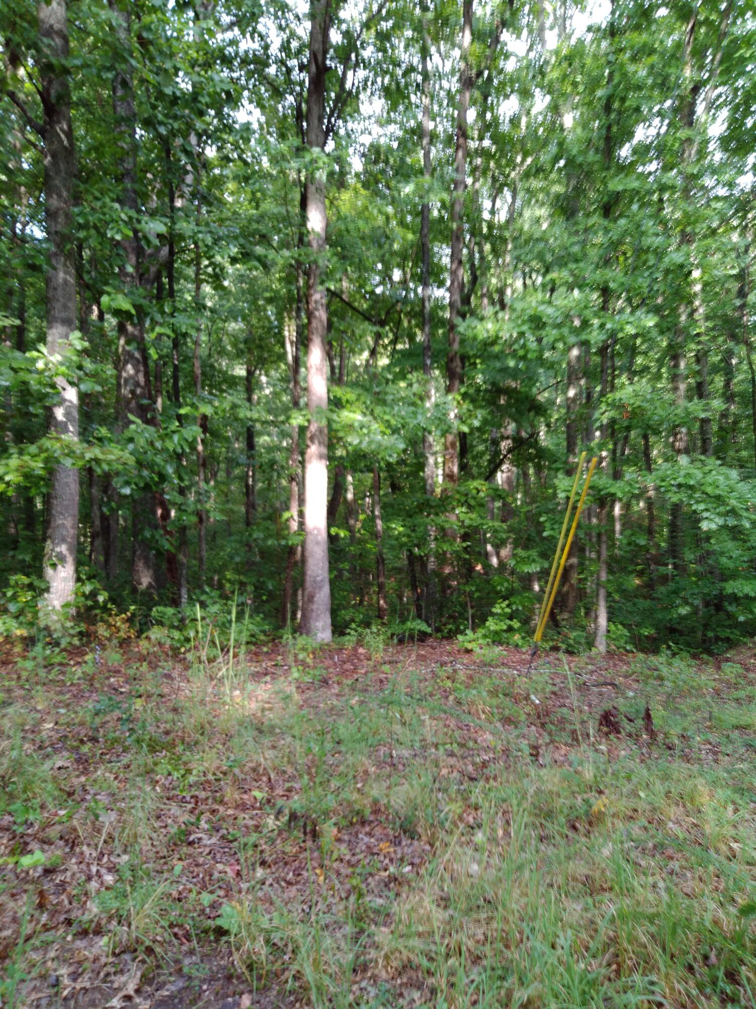 0 Woodland Drive, 53-56