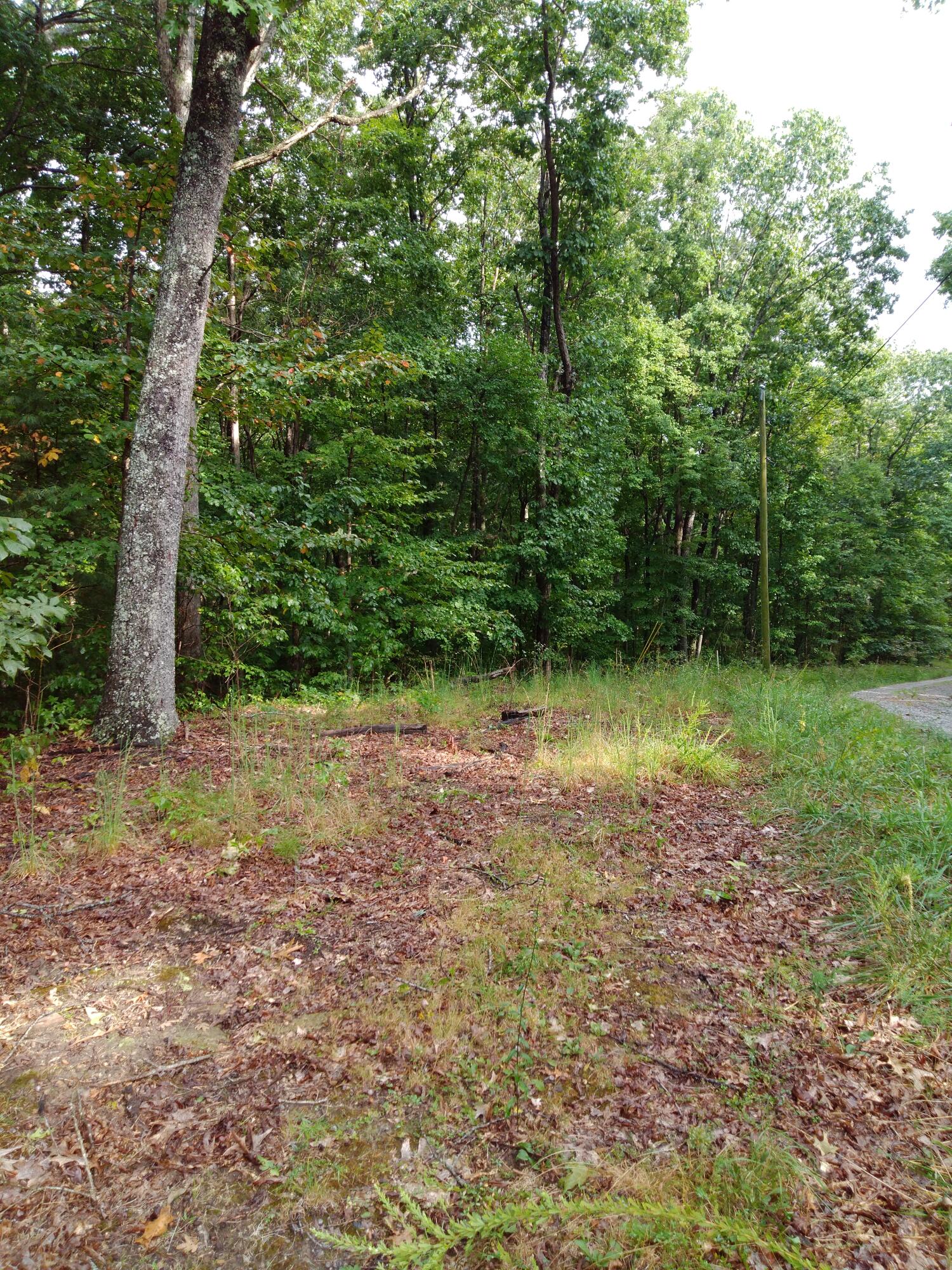 0 Woodland Drive, 53-56