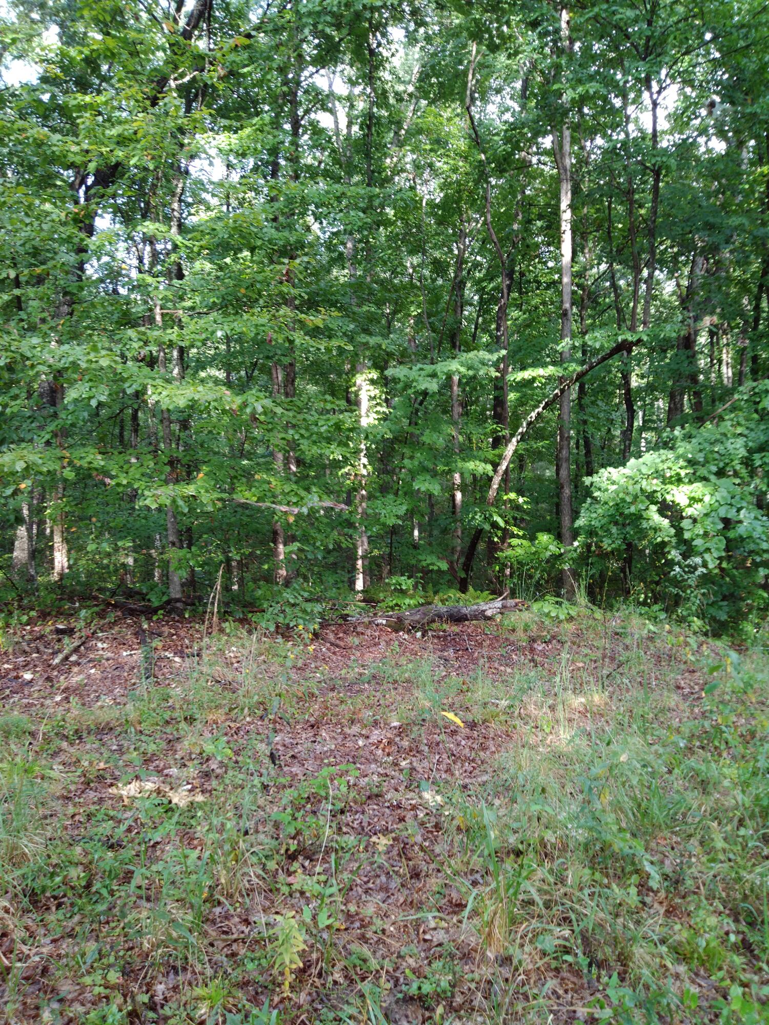 0 Woodland Drive, 53-56
