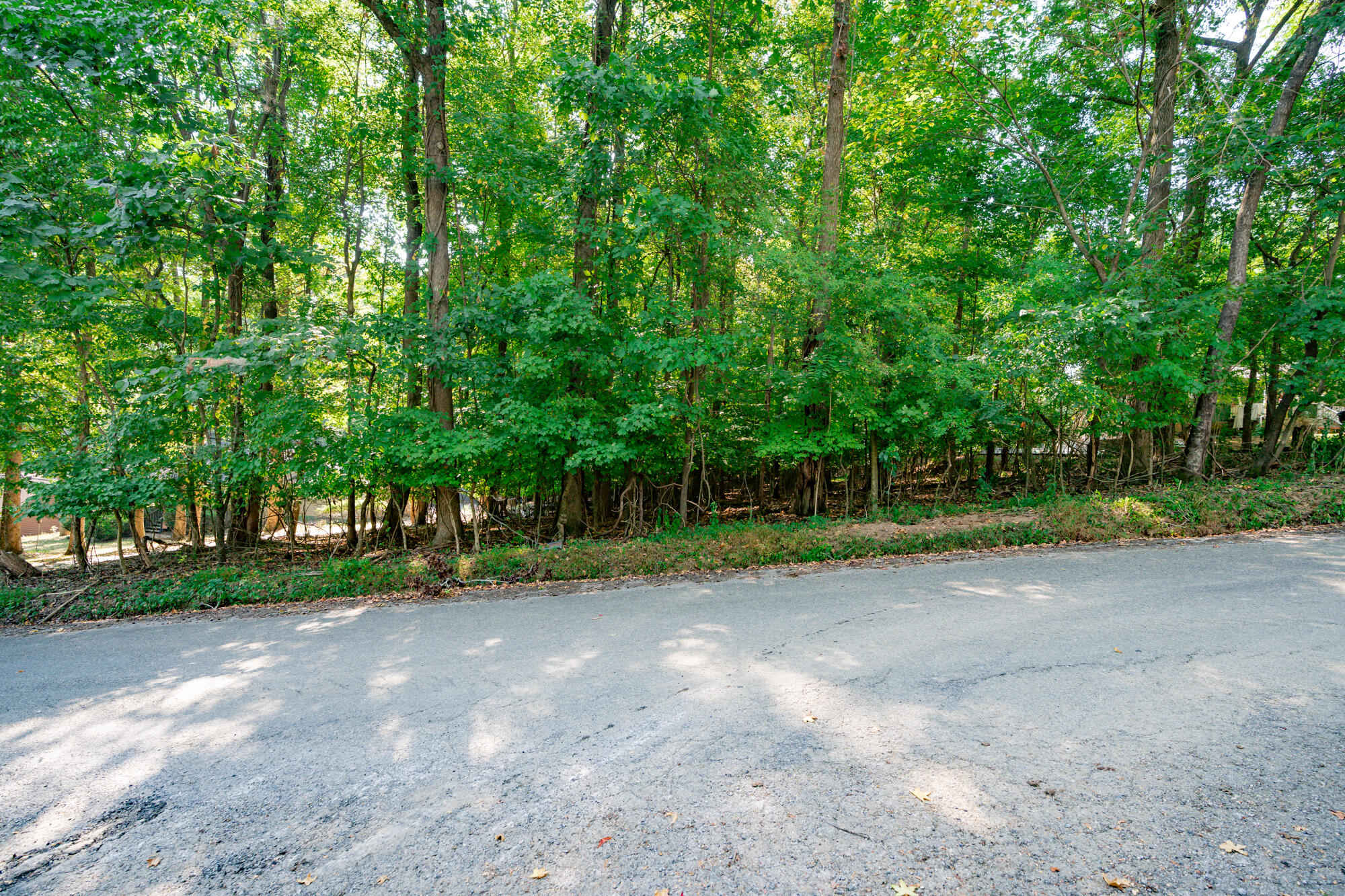 11912 Crestwood Trail