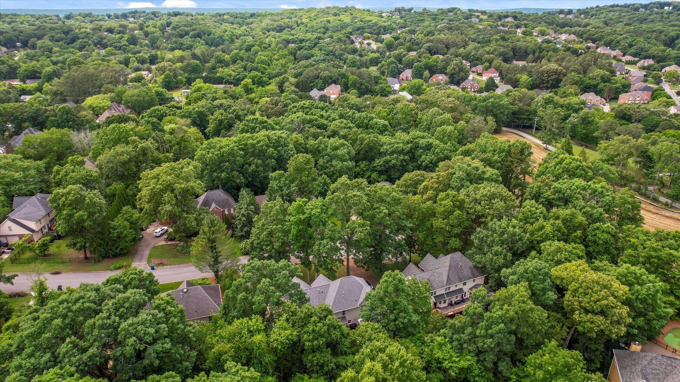 1908 Windy Oaks Lane