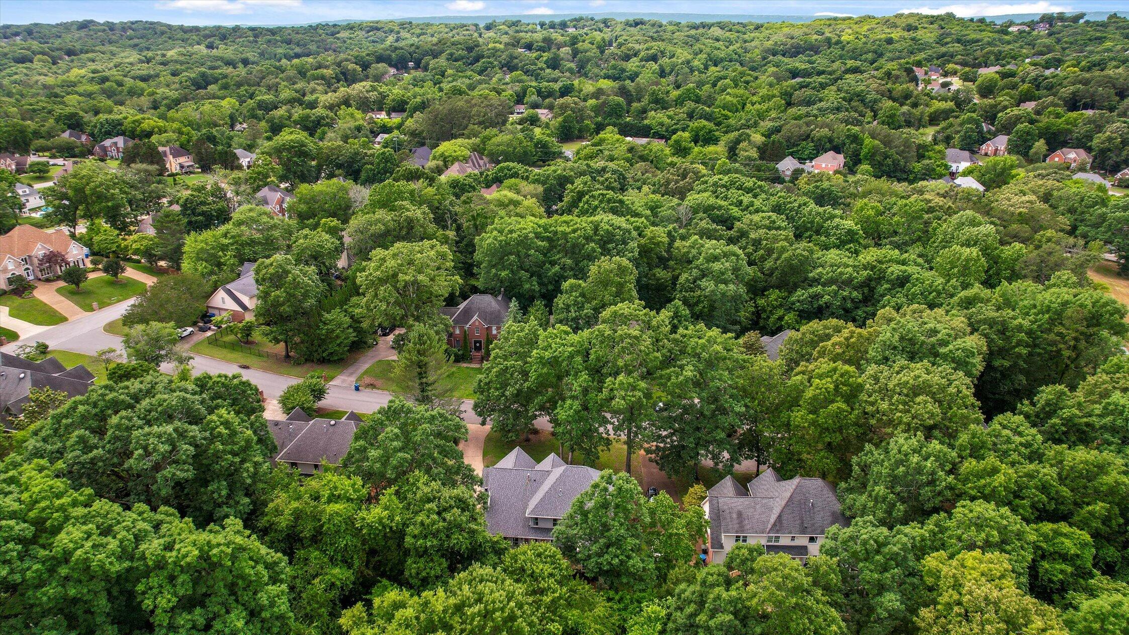 1908 Windy Oaks Lane