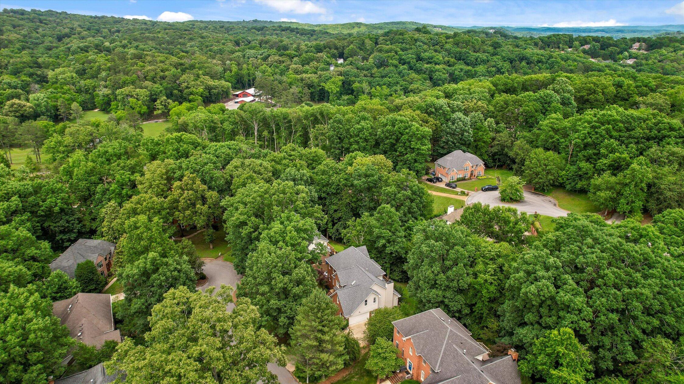 1908 Windy Oaks Lane