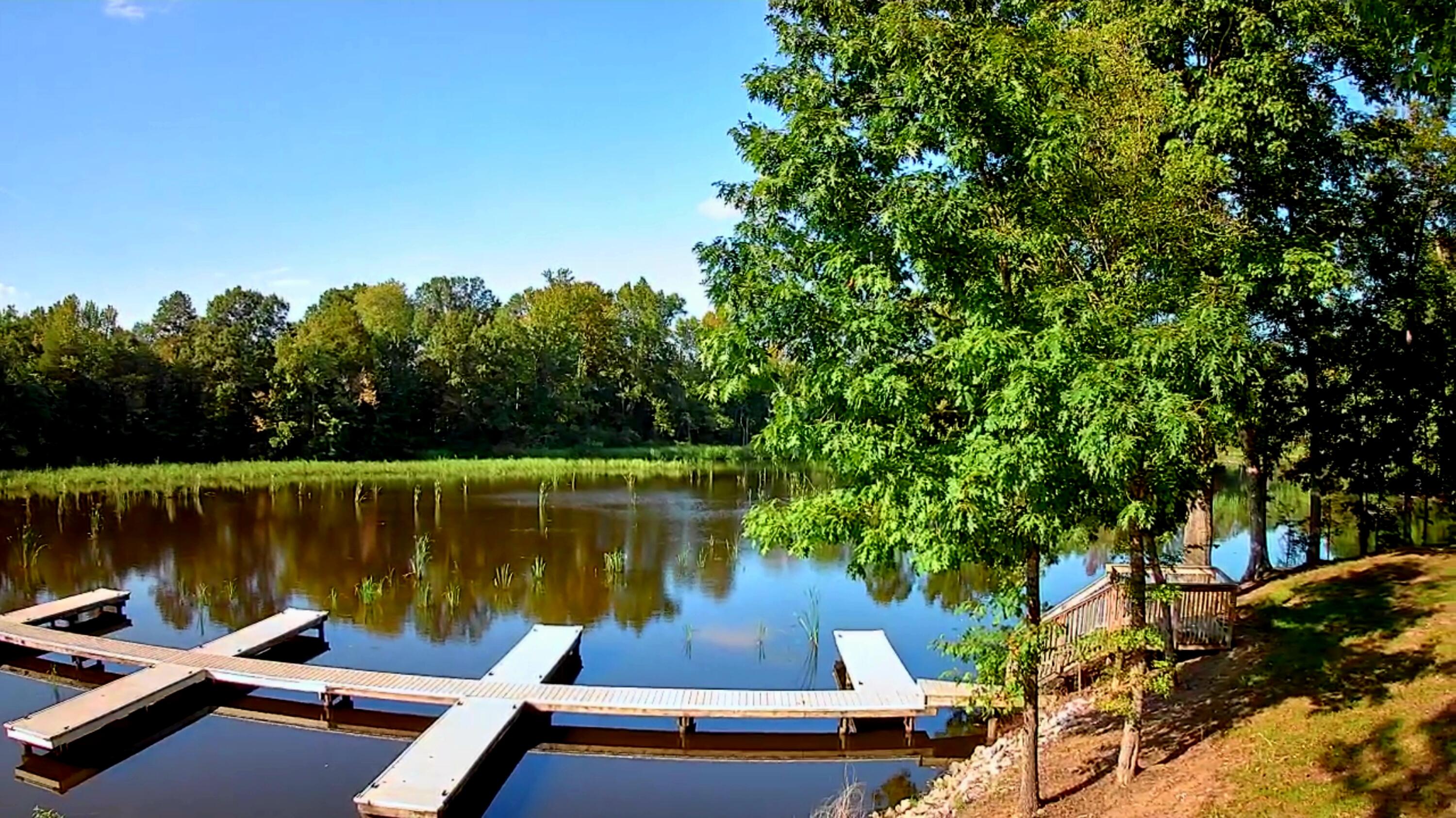 0 Butterfly Cove Trail, 78