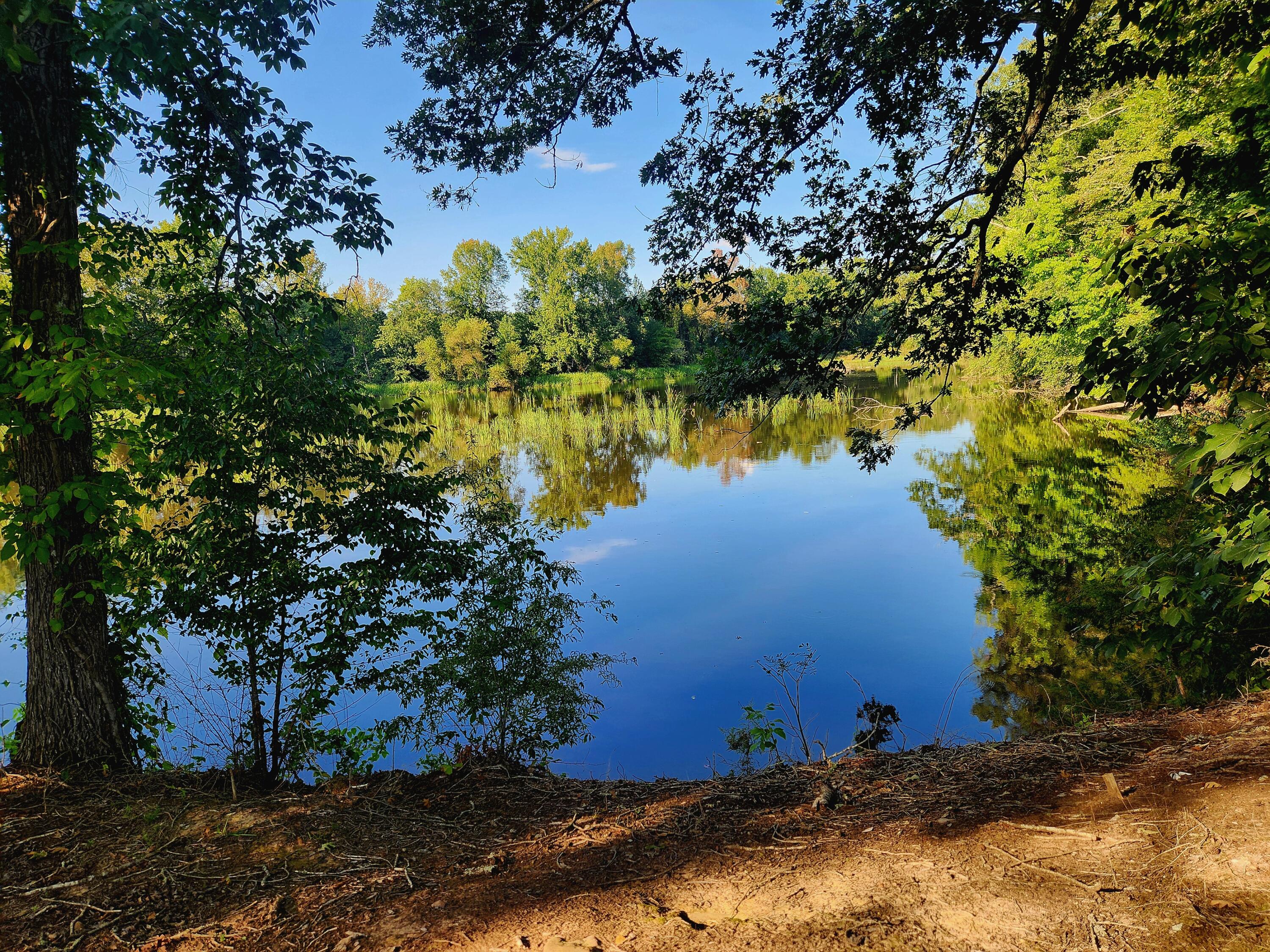 0 Butterfly Cove Trail, 78