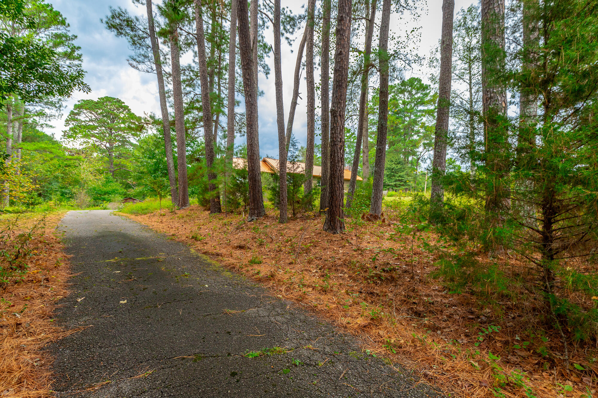 364 John Thompson Road