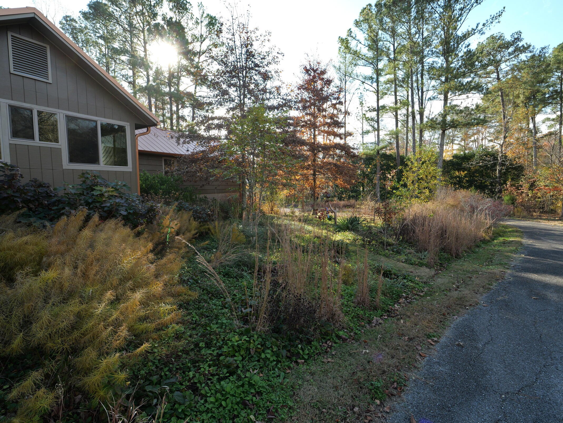 364 John Thompson Road