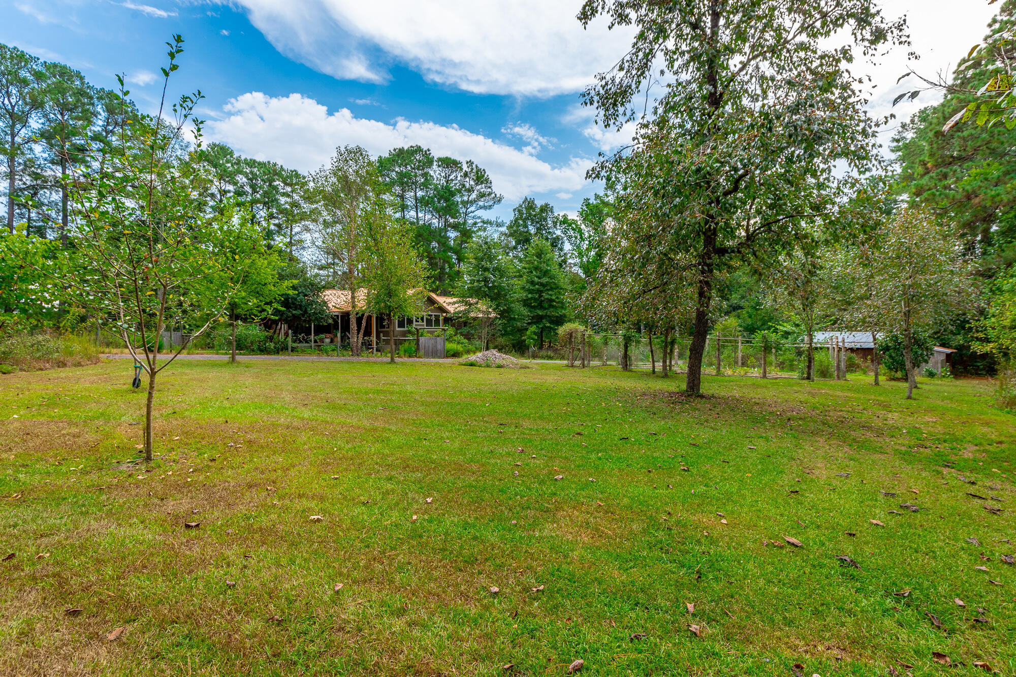 364 John Thompson Road
