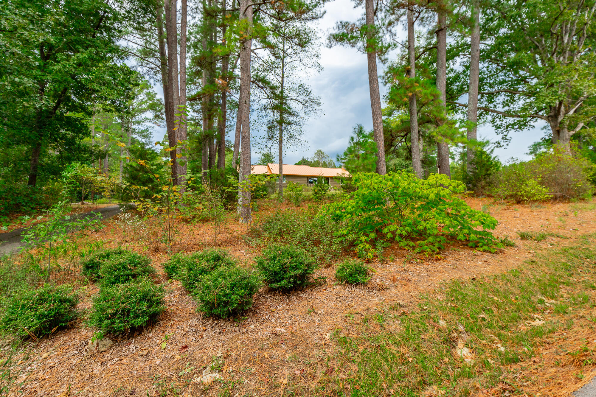 364 John Thompson Road