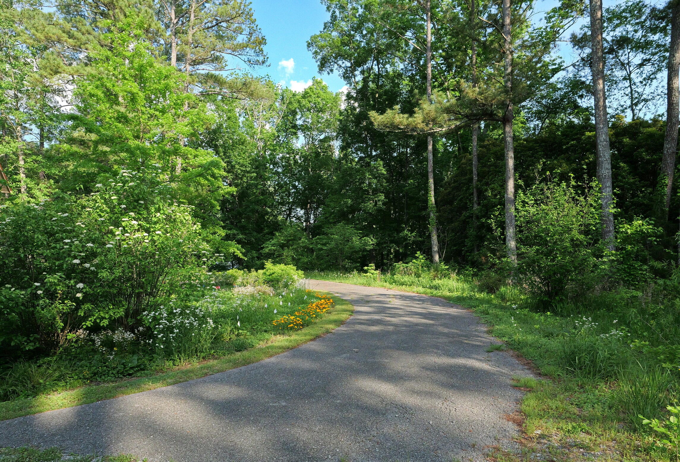 364 John Thompson Road