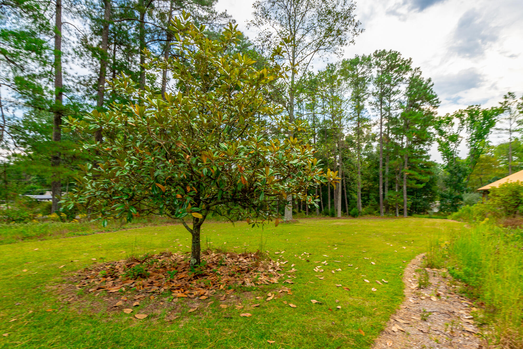 364 John Thompson Road