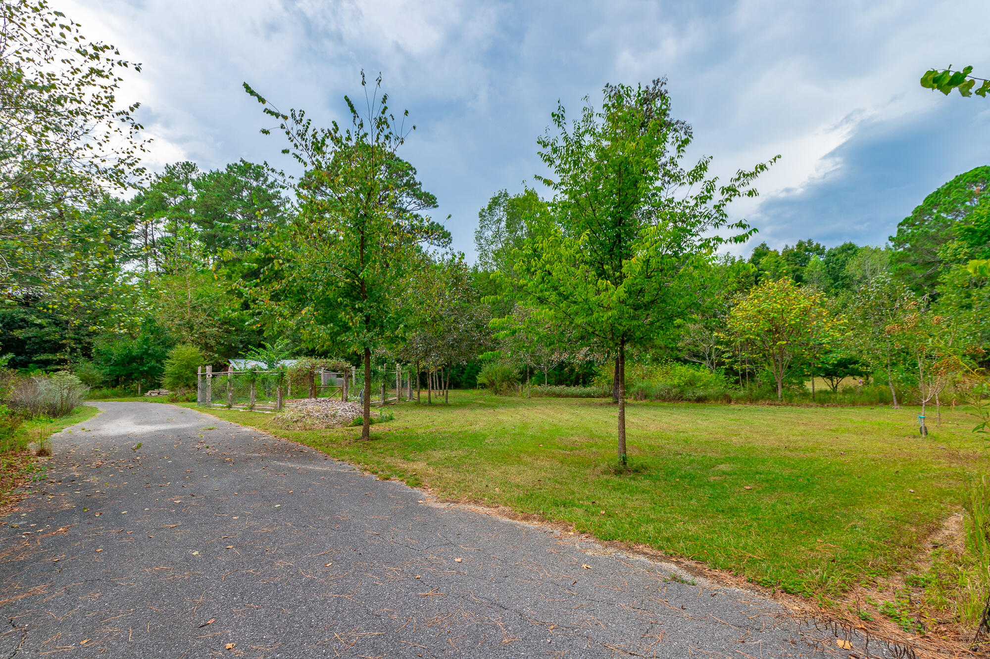 364 John Thompson Road