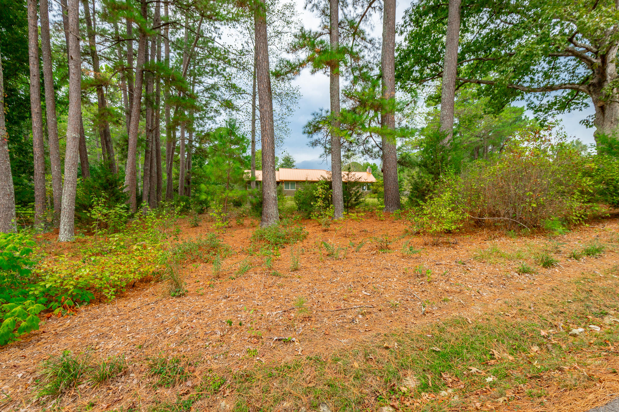 364 John Thompson Road