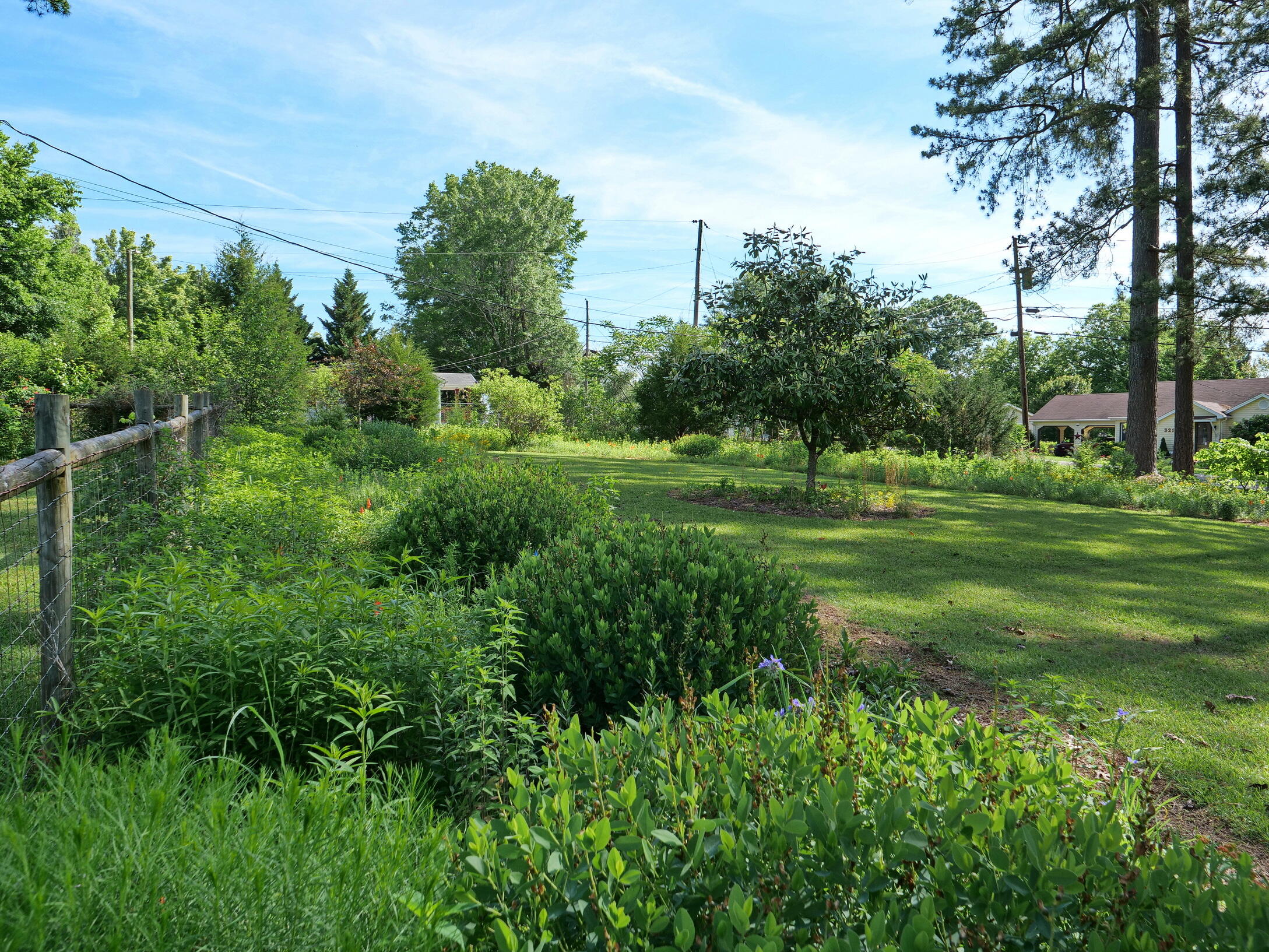 364 John Thompson Road